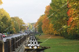 Vẻ đẹp quyến rũ mùa thu vàng nước Nga