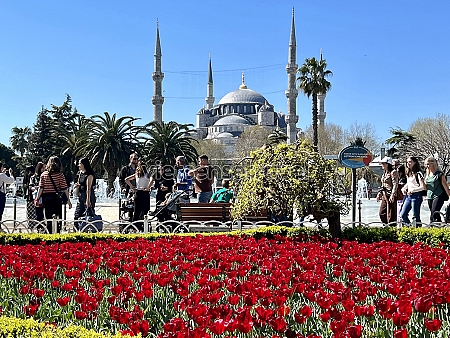 Blue Mosque – Thánh đường Xanh Sultan Ahmed ở Istanbul