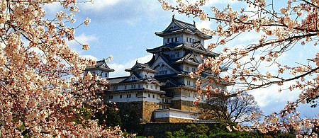 Tour Du lịch Nhật Bản 5 Ngày: Yamanashi -  Hakone - Tokyo