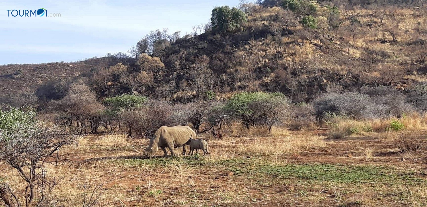 12 điều cần biết để du lịch Nam Phi dễ dàng - Ảnh 4