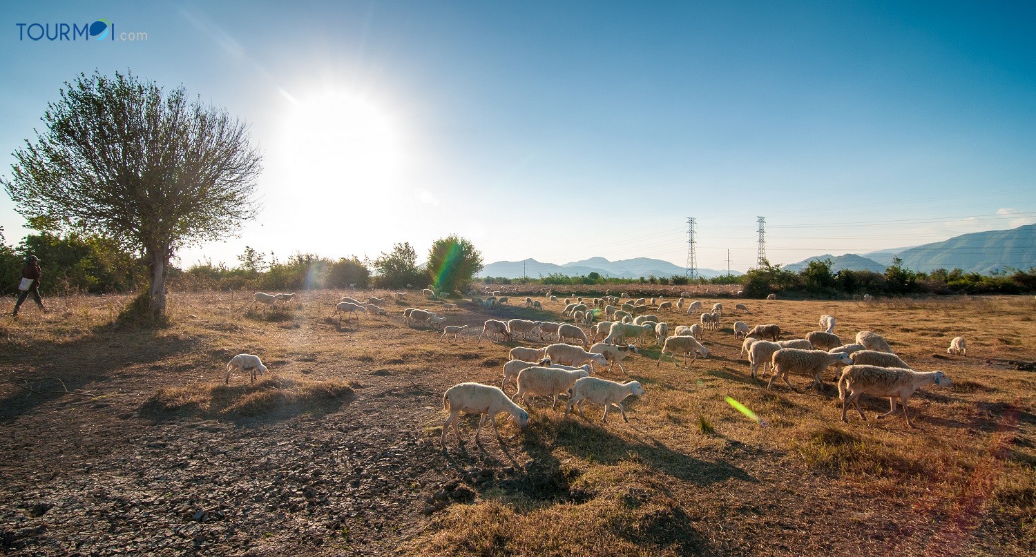 8 điểm “check in” triệu like của du lịch Ninh Thuận - Ảnh 3