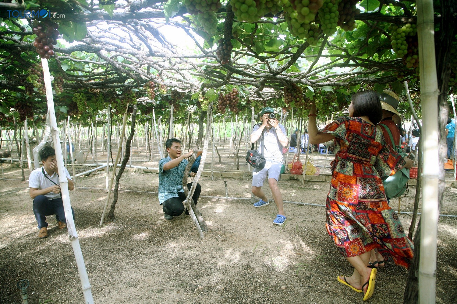 8 điểm “check in” triệu like của du lịch Ninh Thuận - Ảnh 5