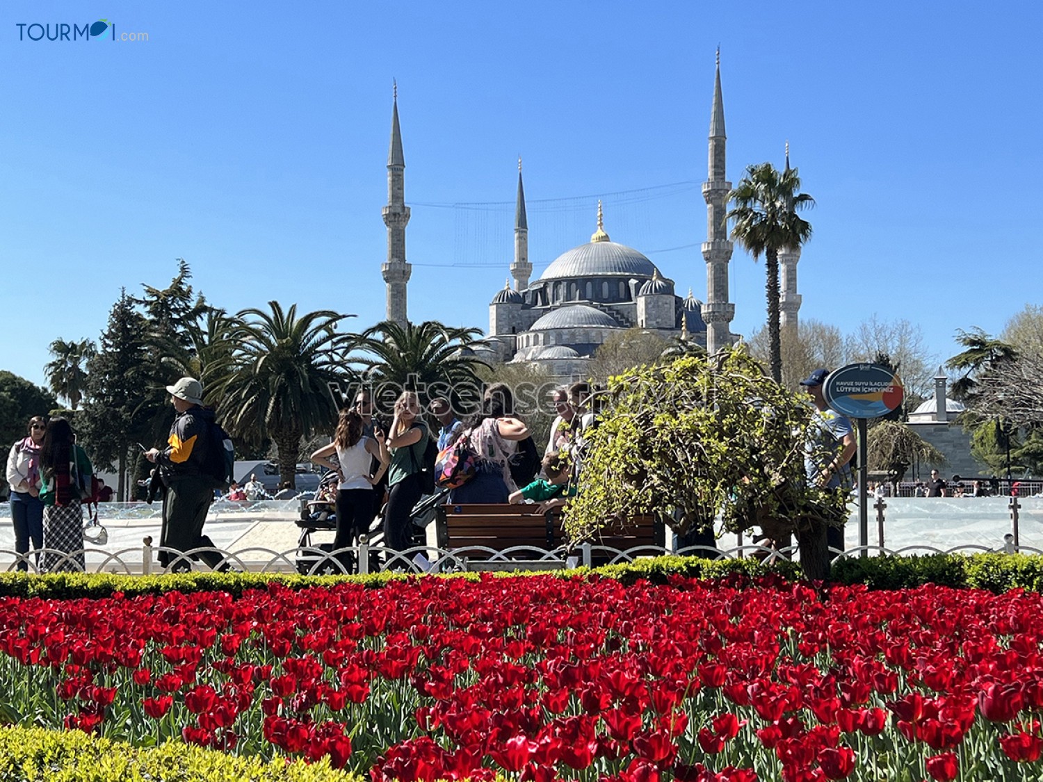 Blue Mosque – Thánh đường Xanh Sultan Ahmed ở Istanbul - Ảnh 9