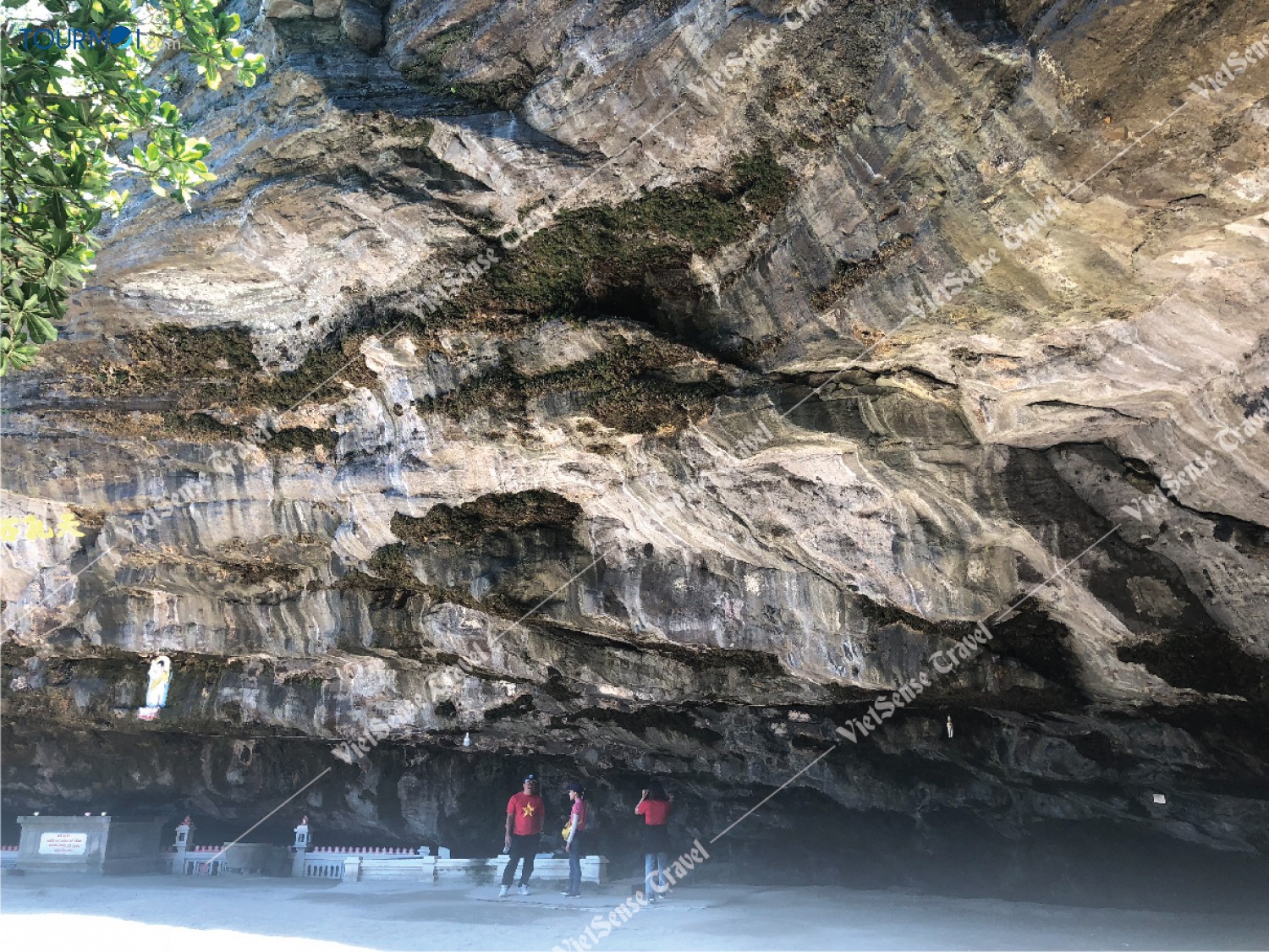 Chia sẻ kinh nghiệm Du lịch Đảo Lý Sơn - Ảnh 6