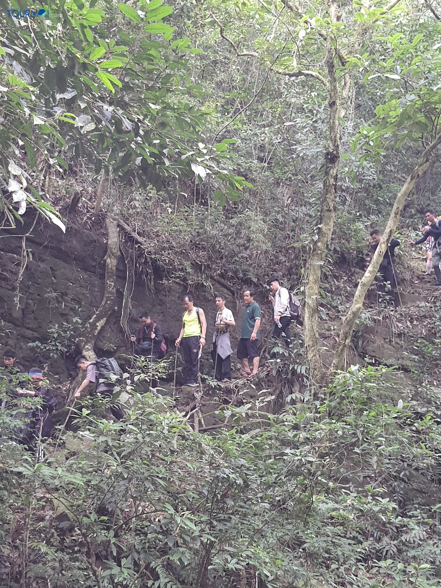 Chinh phục Đỉnh núi Phia Pò trong hành trình “đi để nhớ”! - Ảnh 3