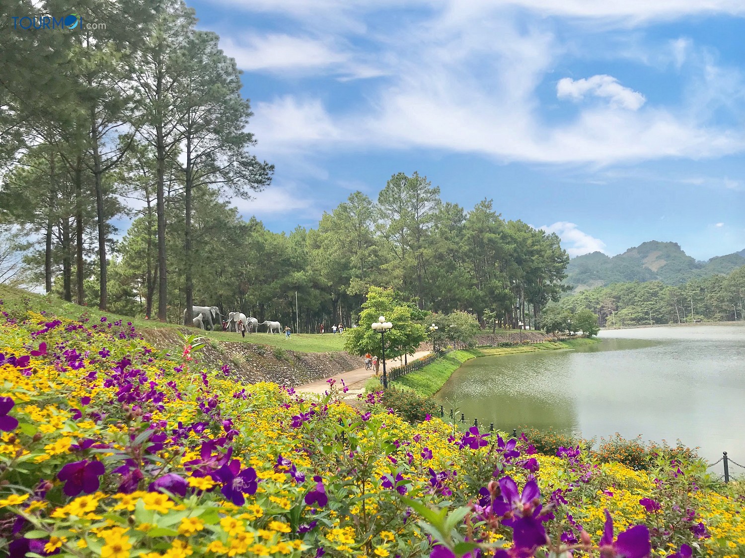 Đi đâu mùa hè thời hậu Covid-19? - Ảnh 1