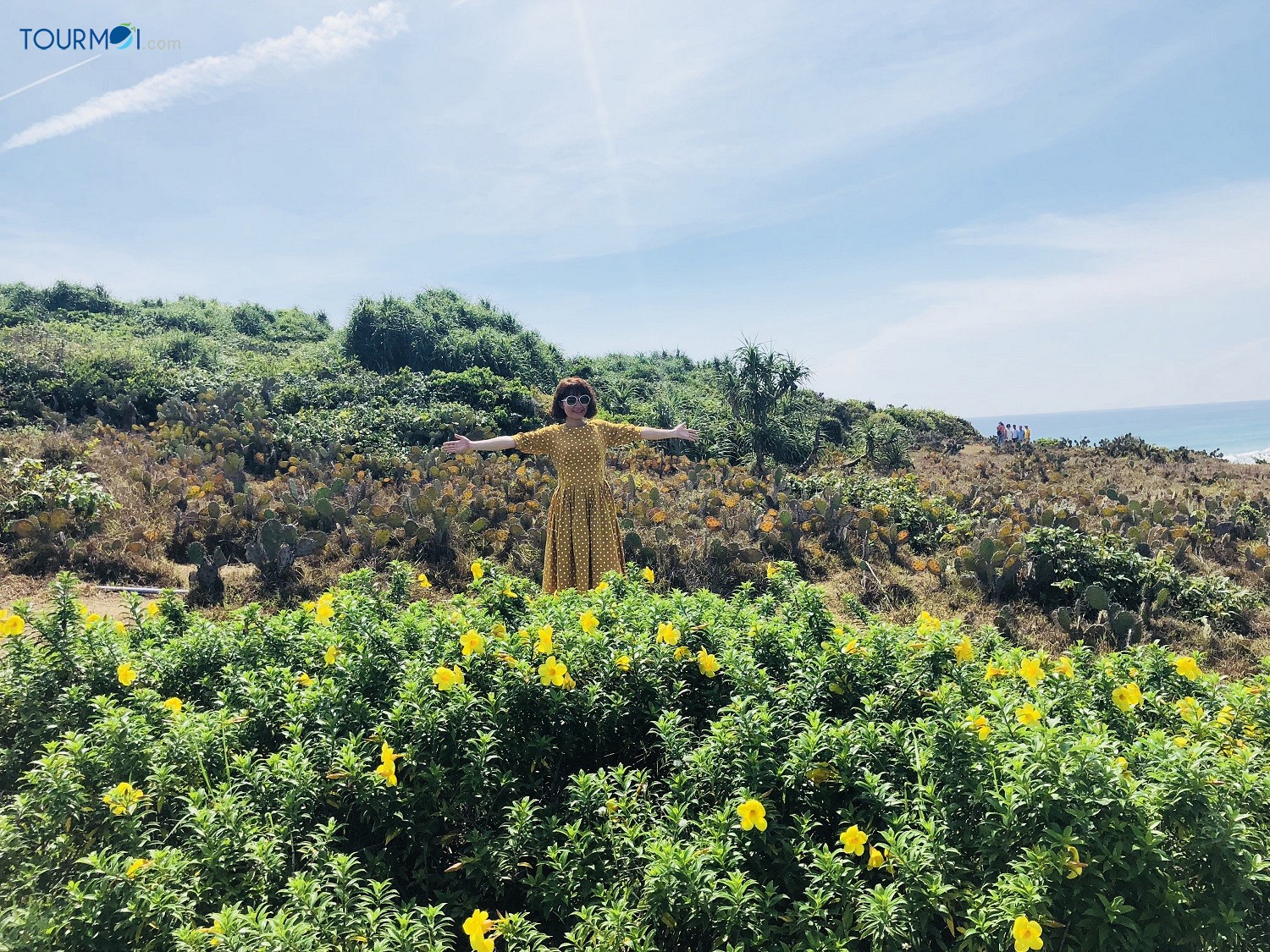 Đi đâu, xem gì ở Phú Yên? 7 gợi ý tuyệt vời để khám phá du lịch Phú Yên - Ảnh 5