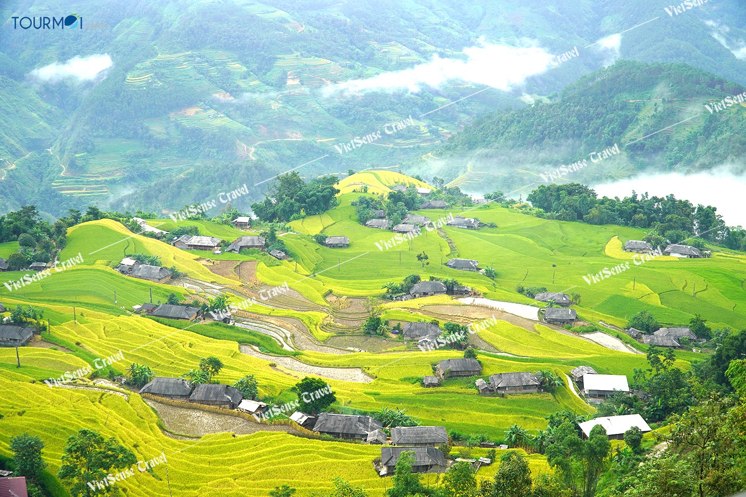 Hướng dẫn khám phá Hoàng Su Phì toàn tập cập nhật 2020 - Ảnh 1