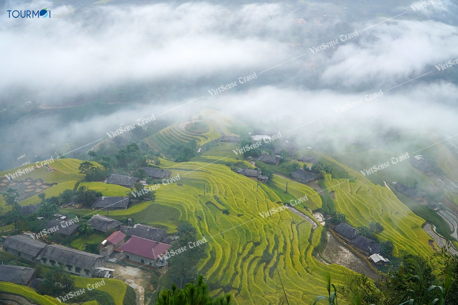 Hướng dẫn khám phá Hoàng Su Phì toàn tập cập nhật 2020 - Ảnh 5