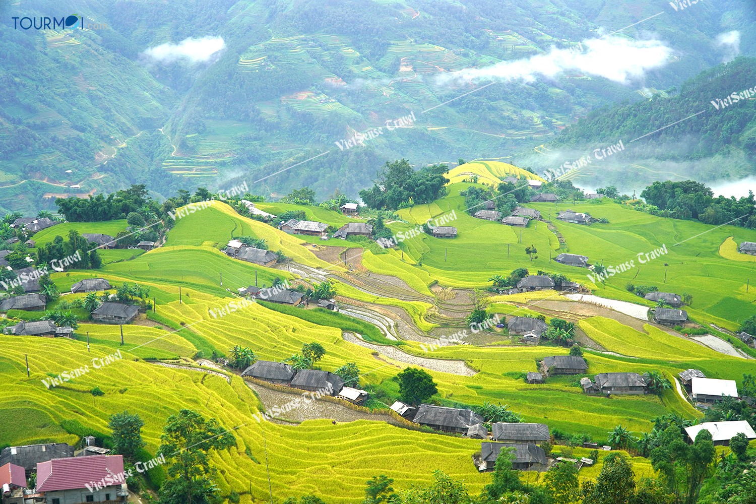 Hướng dẫn khám phá Hoàng Su Phì toàn tập cập nhật 2020 - Ảnh 6