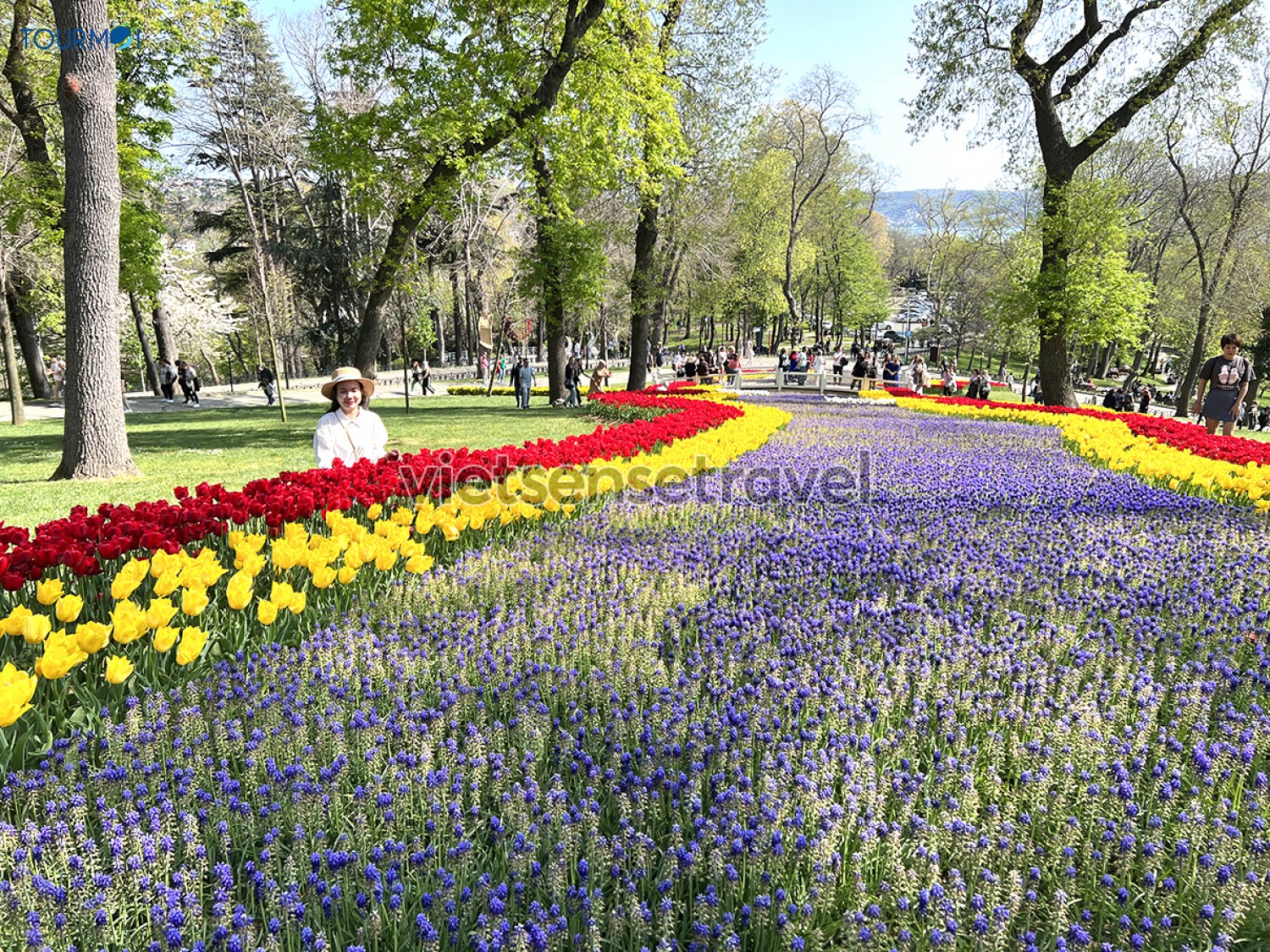 Toàn cảnh Lễ hội hoa Tulip Istanbul Thổ Nhĩ Kỳ rực rỡ sắc màu - Ảnh 3