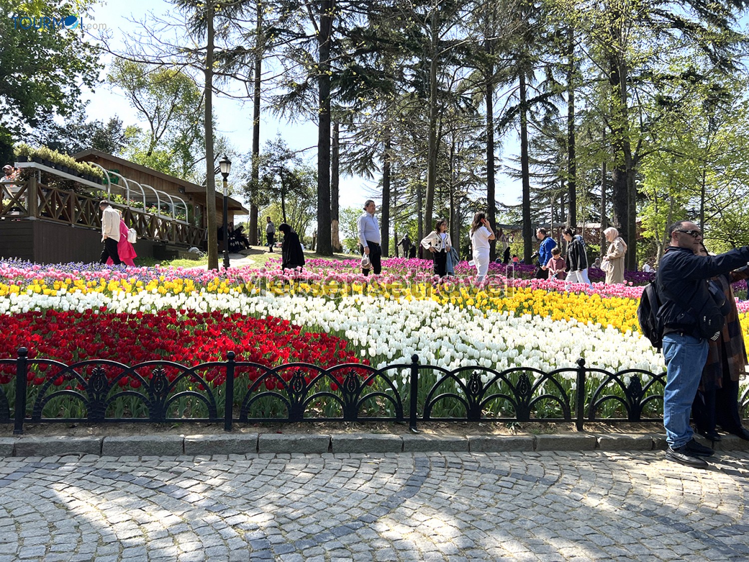 Toàn cảnh Lễ hội hoa Tulip Istanbul Thổ Nhĩ Kỳ rực rỡ sắc màu - Ảnh 5