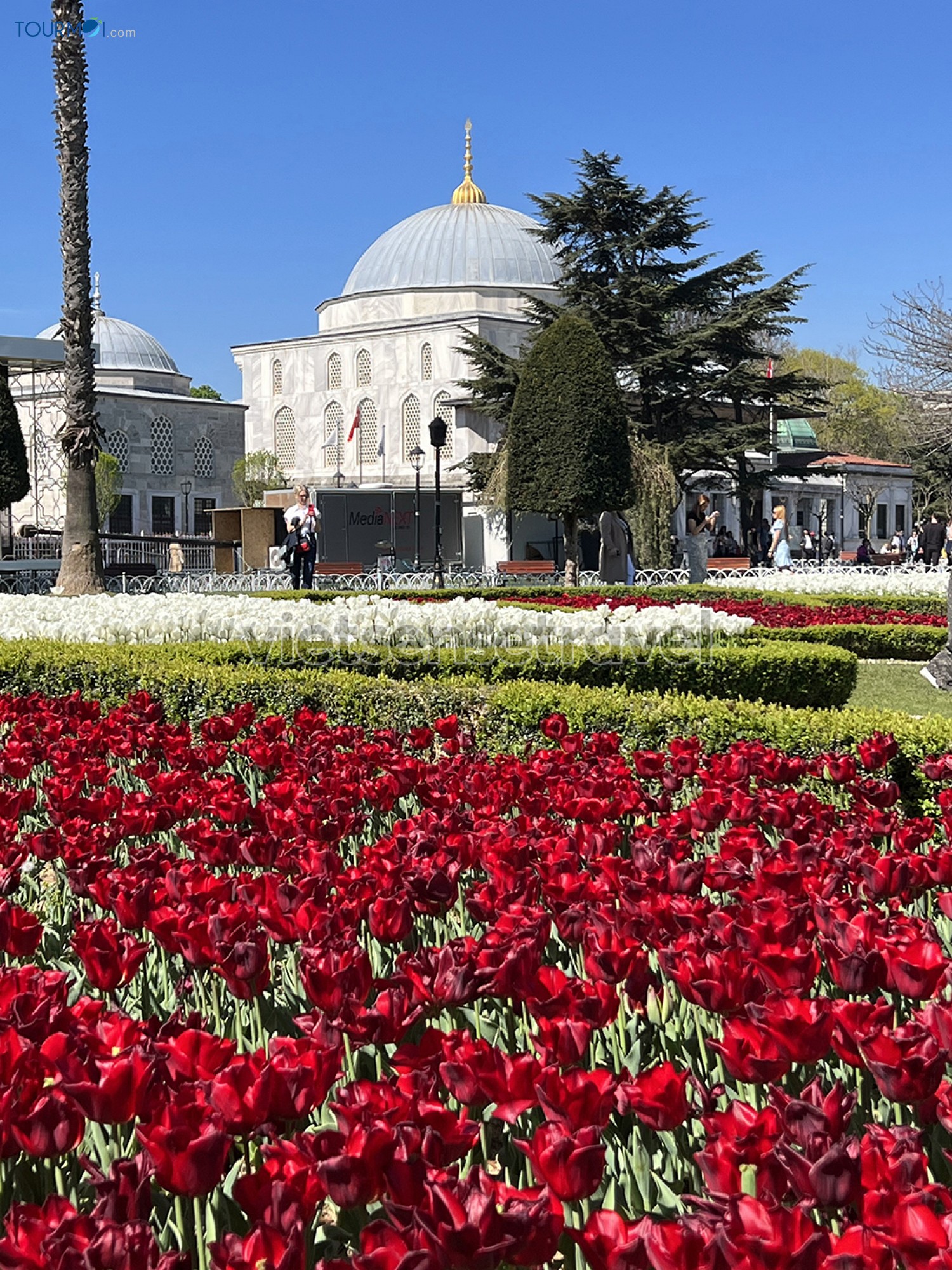 Toàn cảnh Lễ hội hoa Tulip Istanbul Thổ Nhĩ Kỳ rực rỡ sắc màu - Ảnh 7