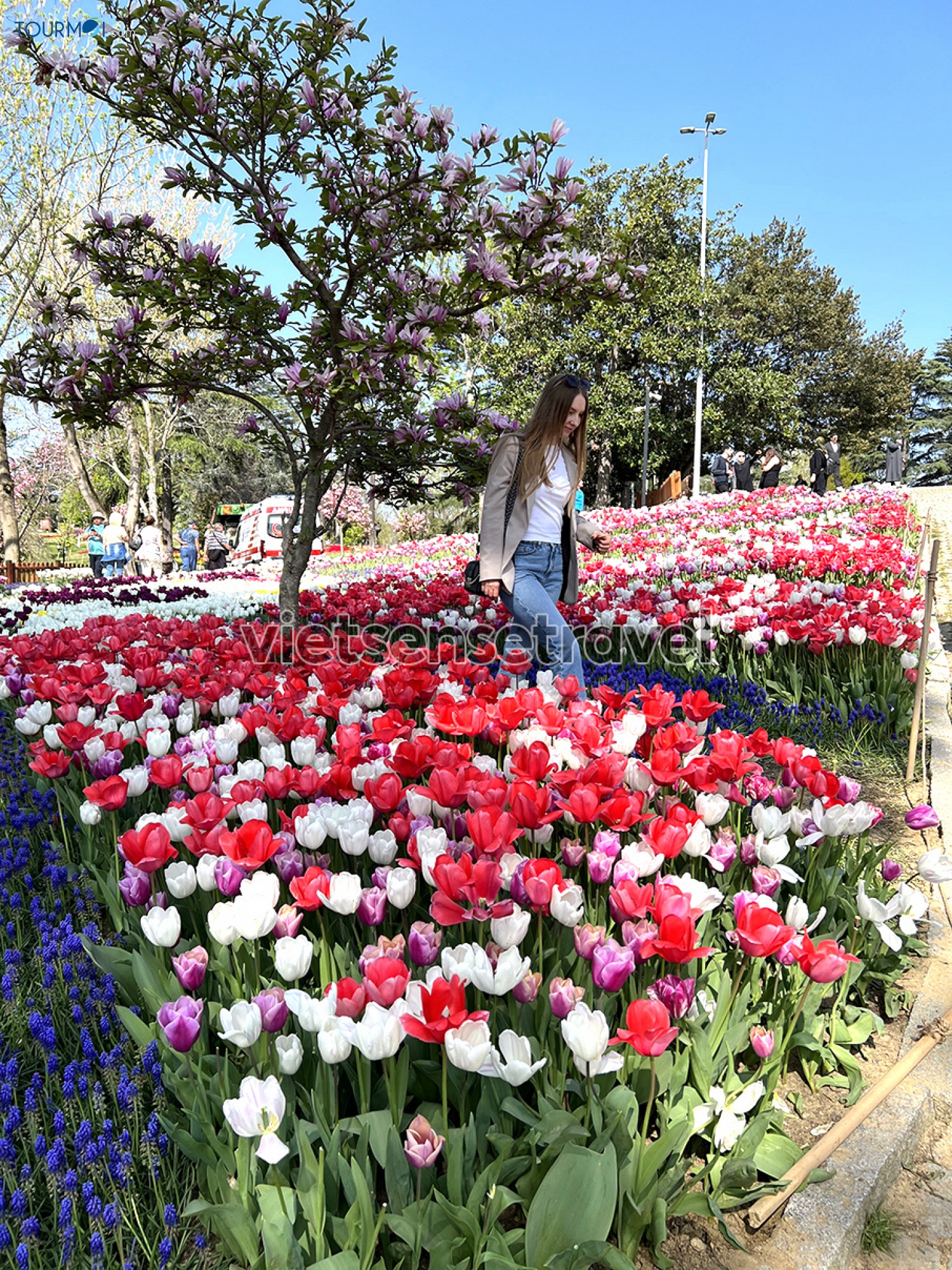 Toàn cảnh Lễ hội hoa Tulip Istanbul Thổ Nhĩ Kỳ rực rỡ sắc màu - Ảnh 12