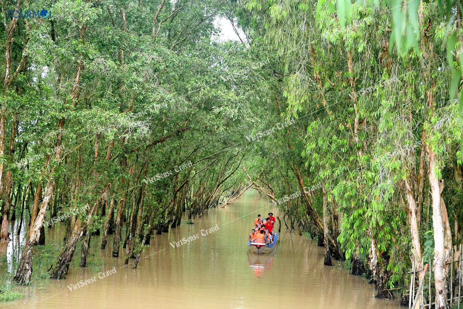 Mê mẩn vẻ đẹp Miền Tây mùa nước nổi - Ảnh 1