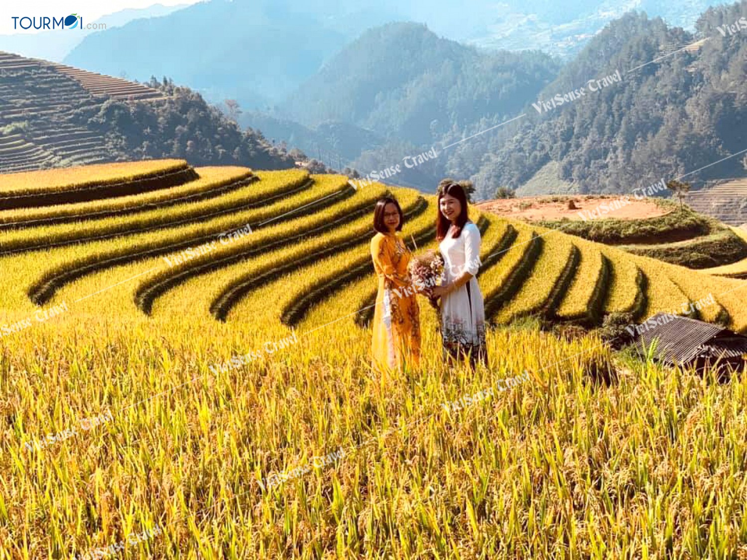 Mong lắm MÙA LÚA CHÍN, MÙ CANG CHẢI ơi! - Ảnh 2