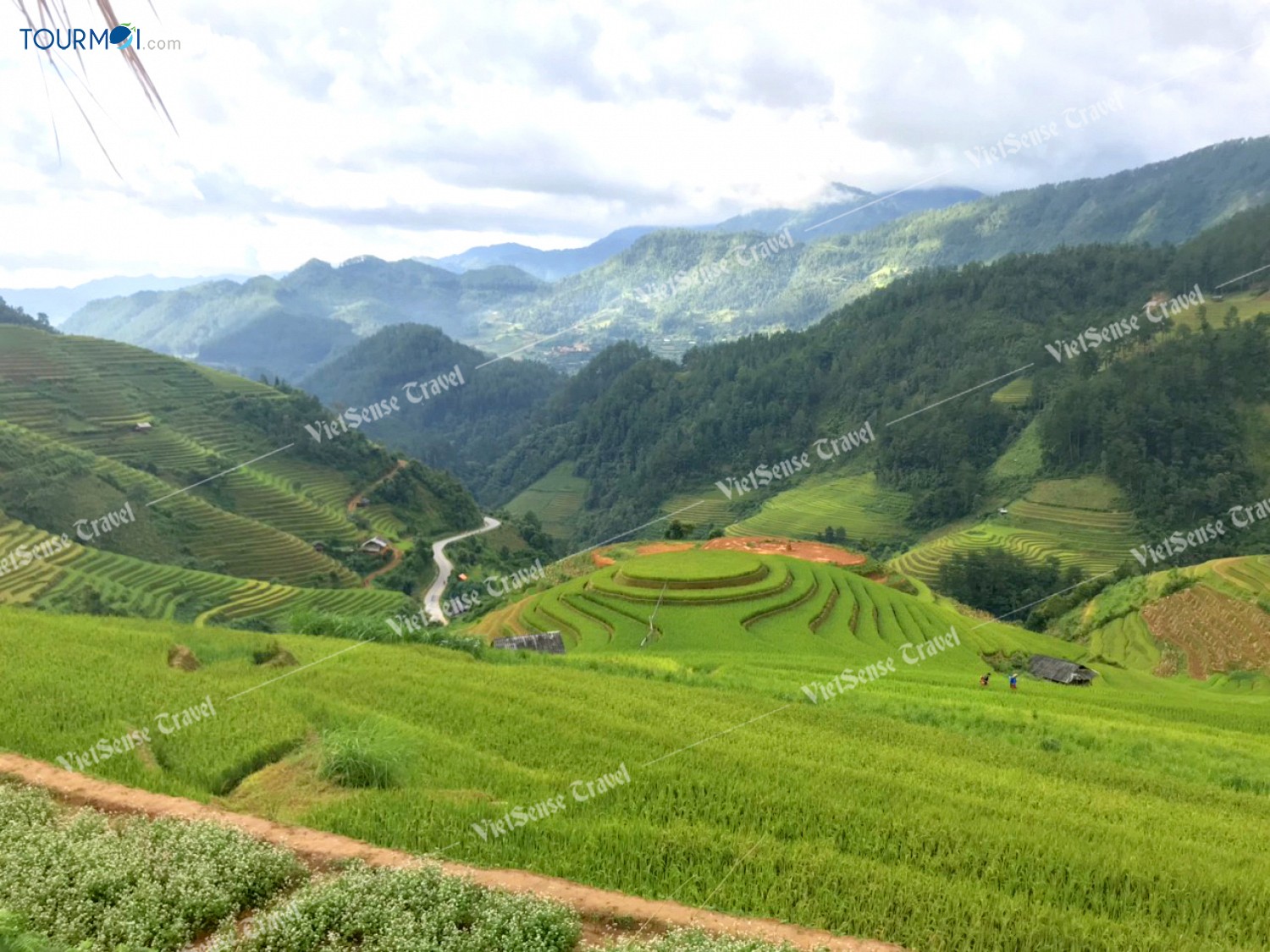 Mù Cang Chải top 10 ruộng bậc thang đẹp nhất thế giới - Ảnh 4