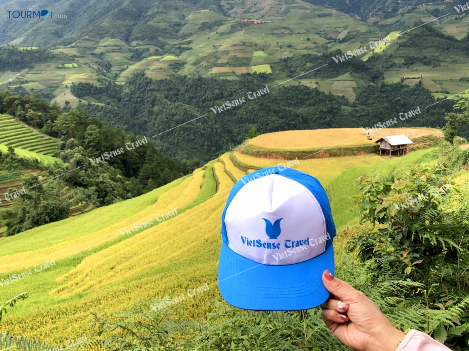 Mù Cang Chải top 10 ruộng bậc thang đẹp nhất thế giới - Ảnh 10