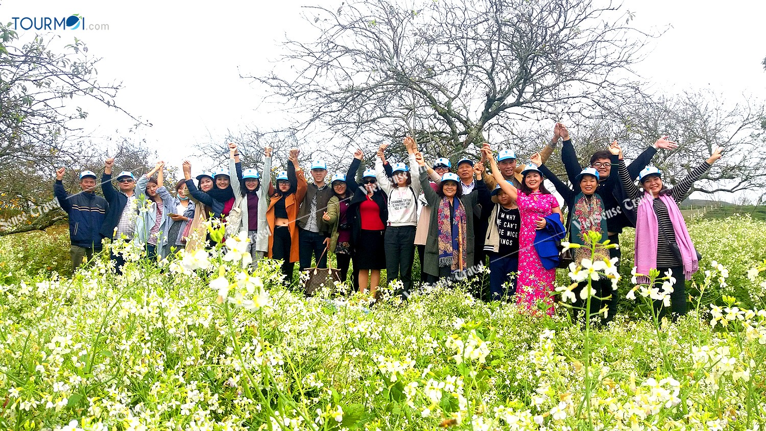 Đẹp lung linh mùa cải trắng trên cao nguyên Mộc Châu - Ảnh 6