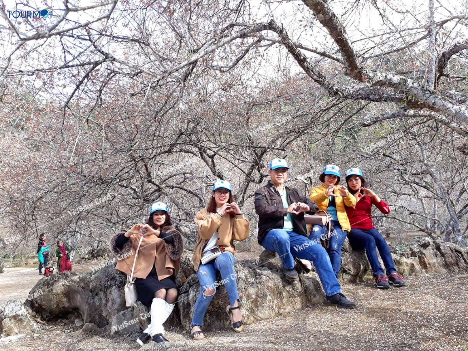 Đẹp lung linh mùa cải trắng trên cao nguyên Mộc Châu - Ảnh 5