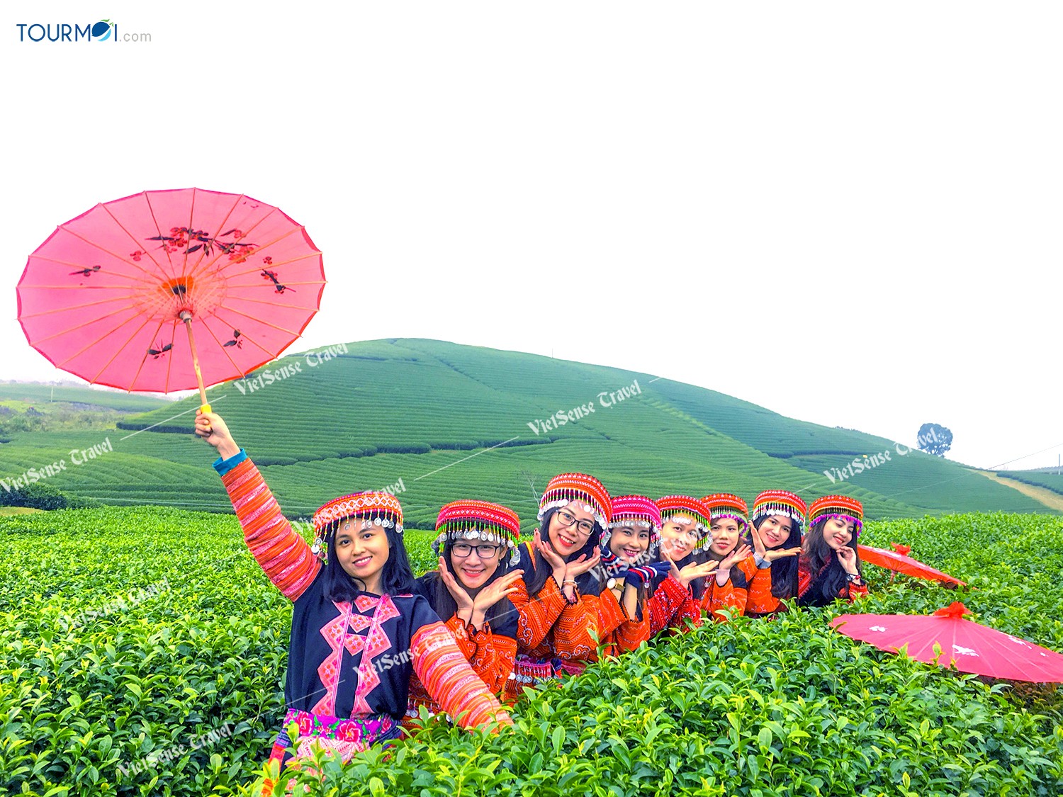 Đẹp lung linh mùa cải trắng trên cao nguyên Mộc Châu - Ảnh 7