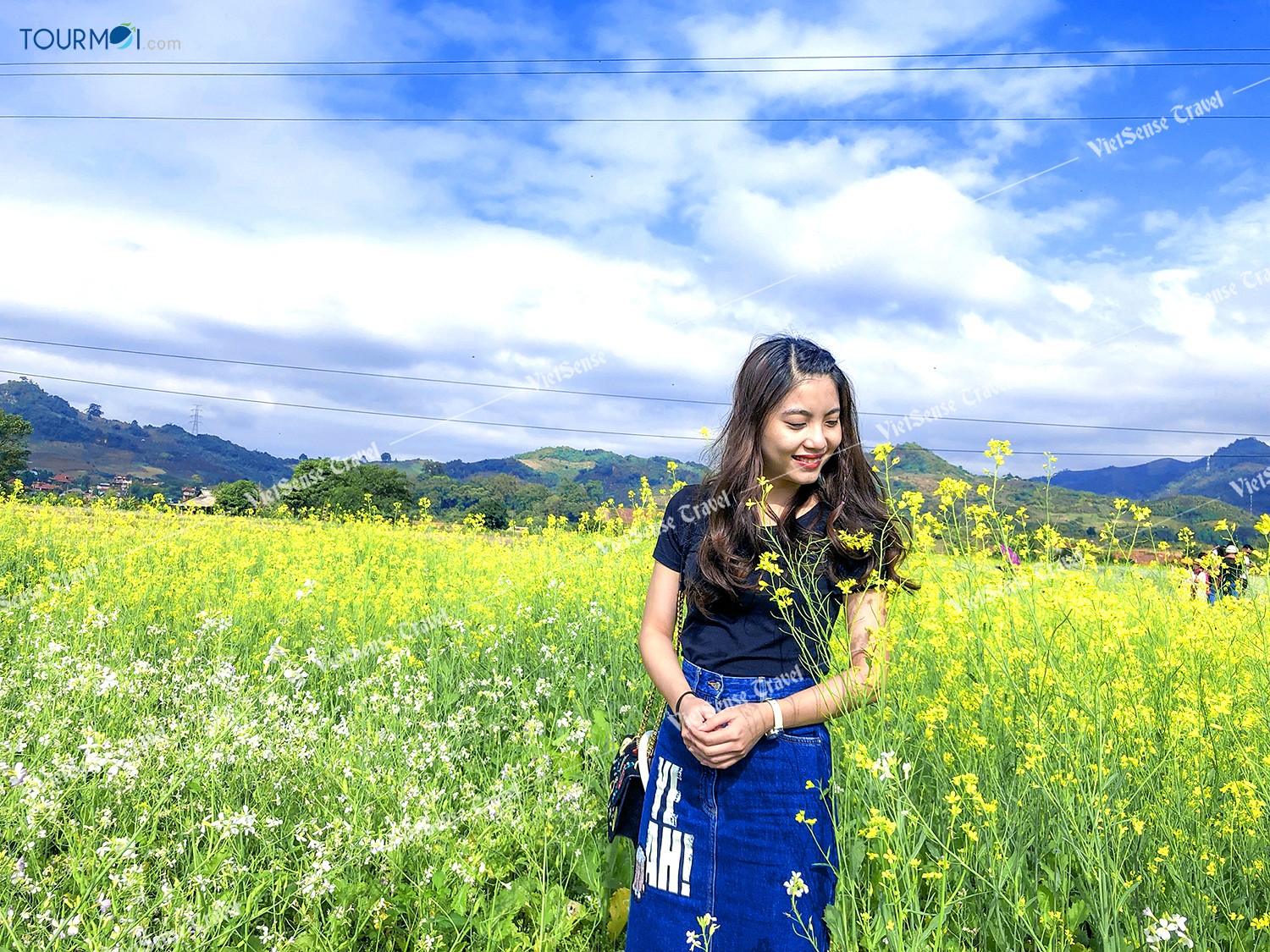 Đẹp lung linh mùa cải trắng trên cao nguyên Mộc Châu - Ảnh 3