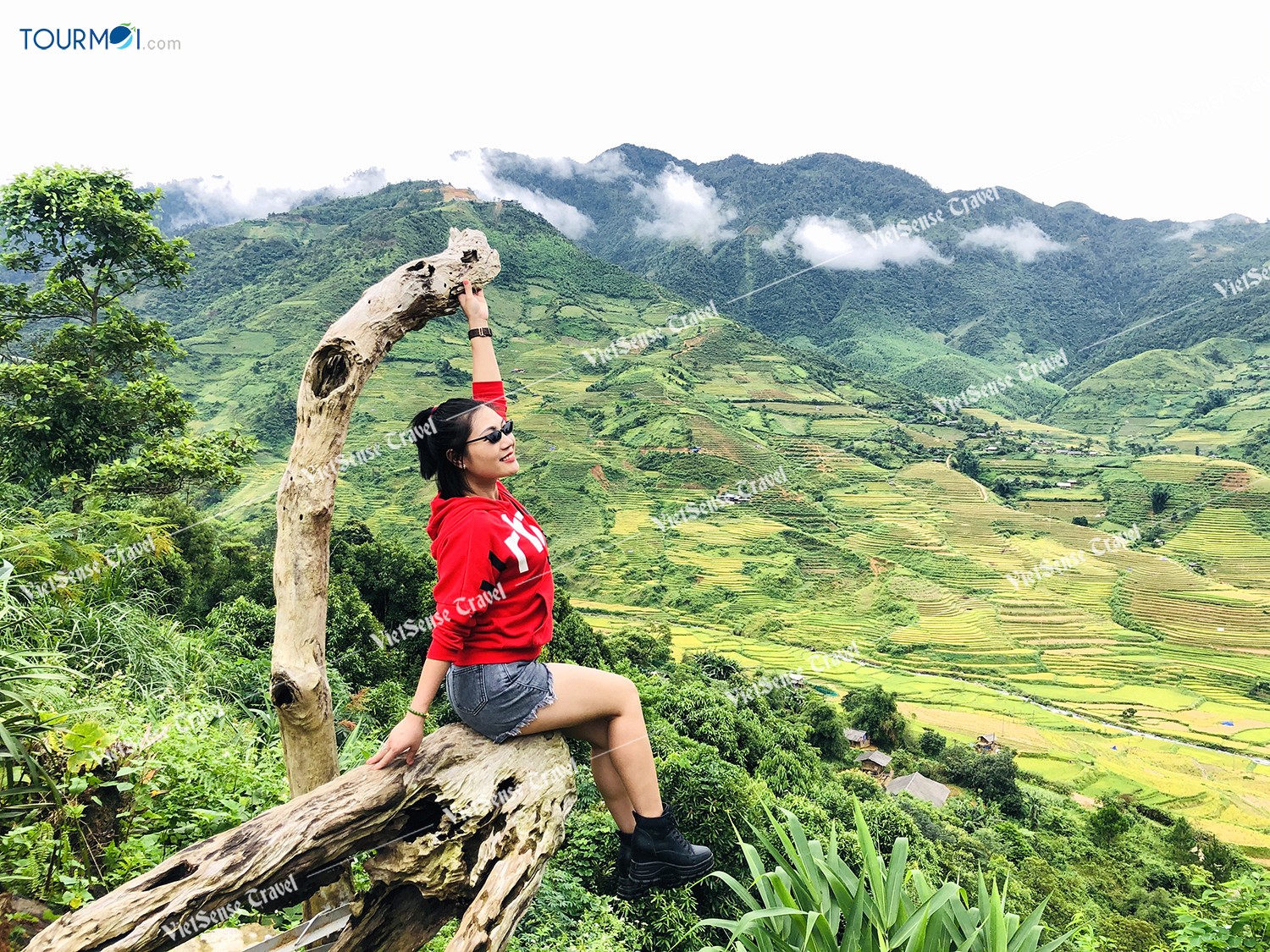 Mùa lúa chín Mù Cang Chải - Ảnh 2