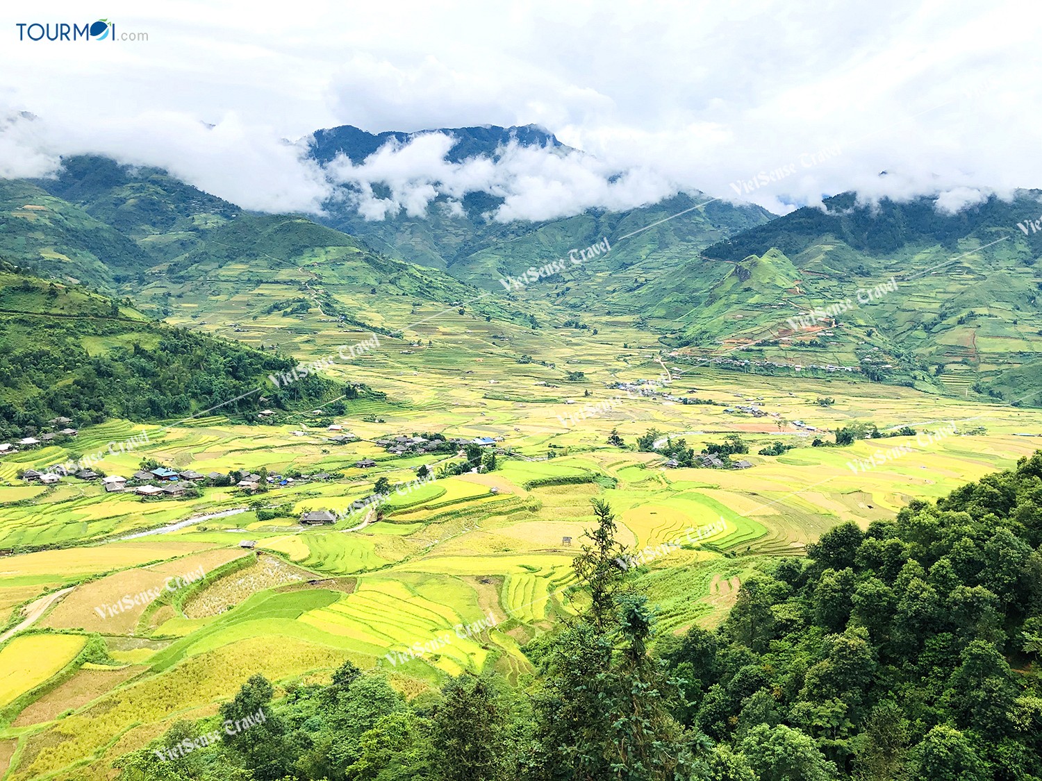 Mùa lúa chín Mù Cang Chải - Ảnh 1