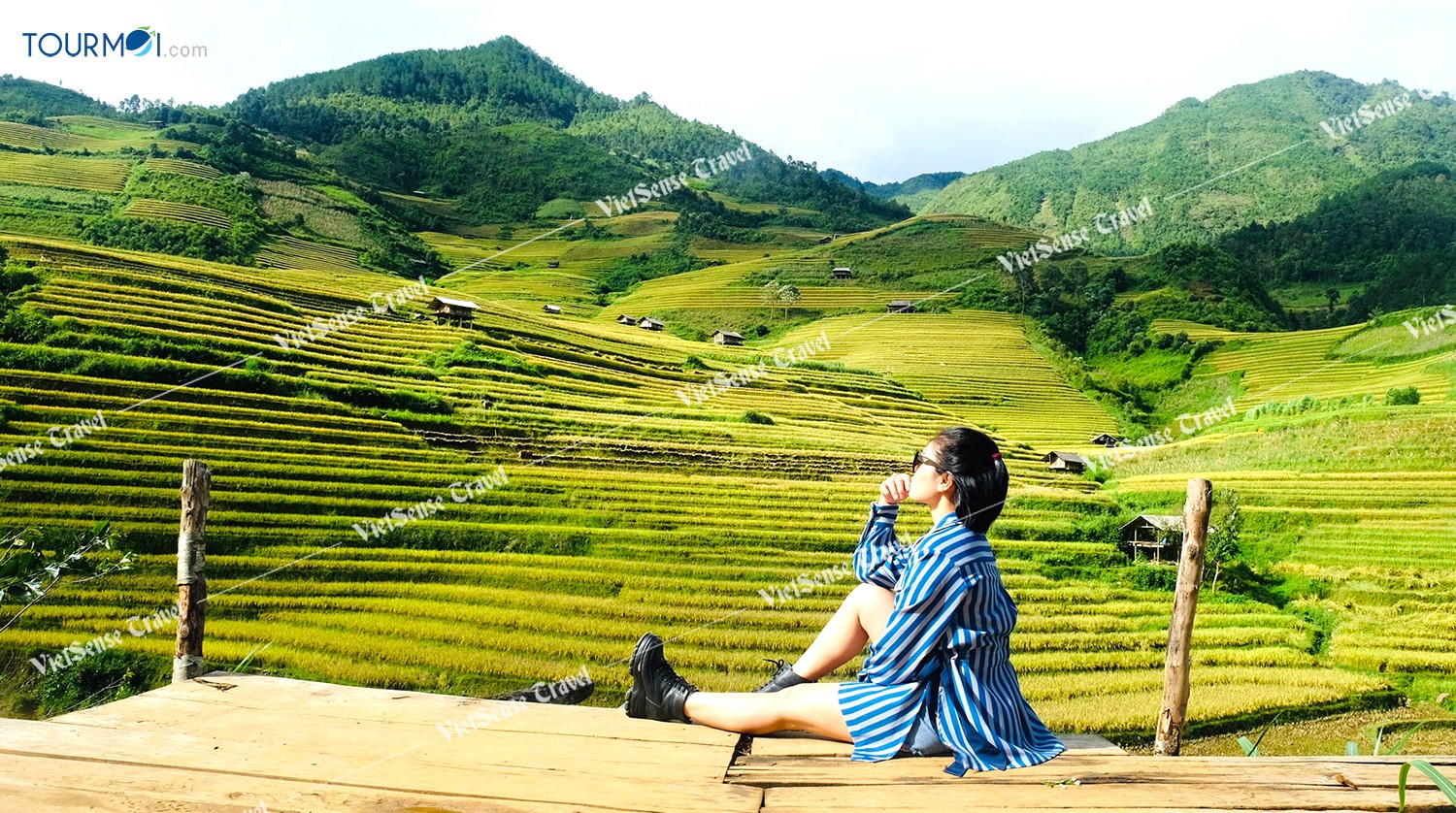 Mùa lúa chín Mù Cang Chải - Ảnh 3