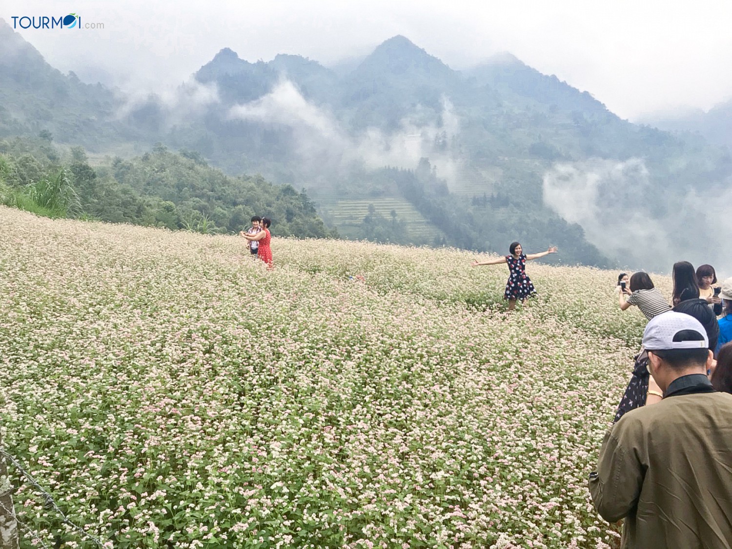 Tour Hà Giang Mùa Hoa Tam Giác Mạch - Ảnh 3