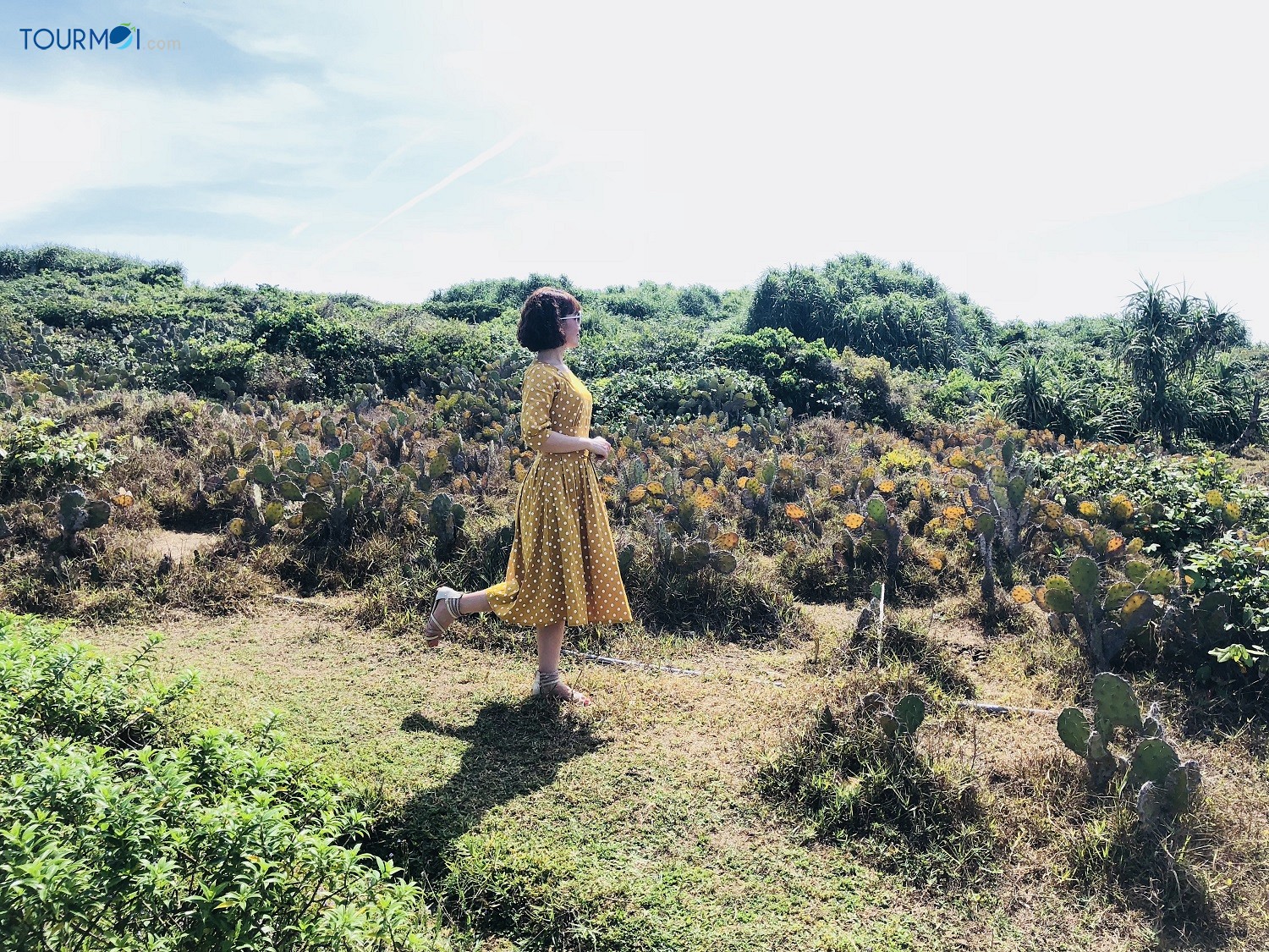 Tour Du lịch Phú Yên 4 Ngày Về Xứ Hoa Vàng Cỏ Xanh 2020 - Ảnh 5