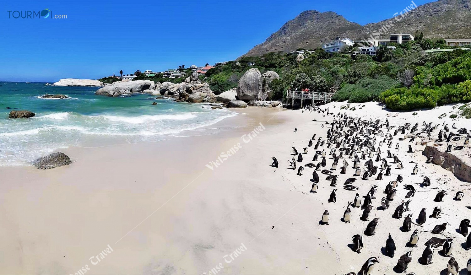 Tour Du lịch Nam Phi Mùa Phượng Tím Siêu Khuyến Mãi - Ảnh 4