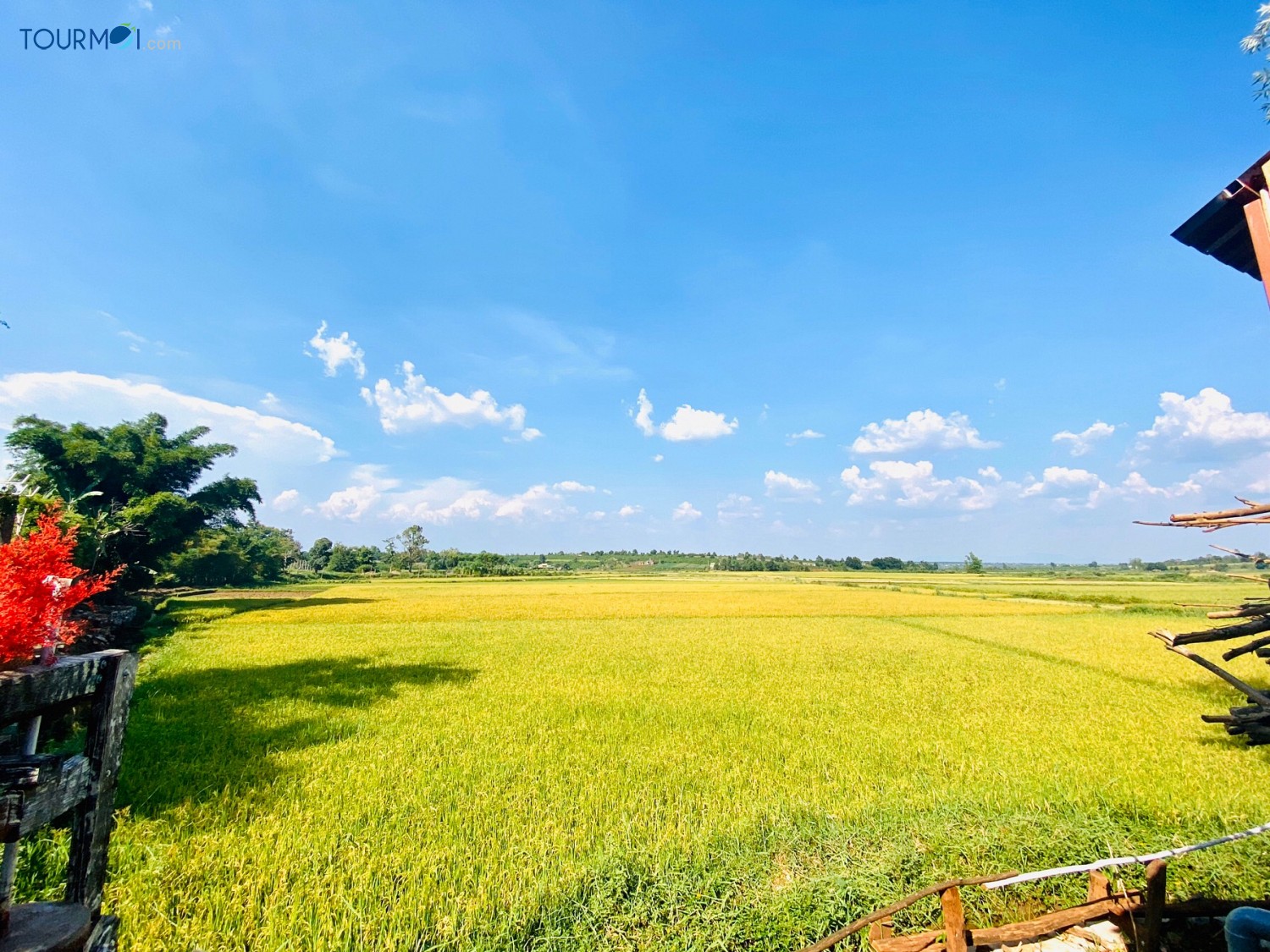 Nhà Tôi – My Home, điểm hẹn trên phố núi đại ngàn - Ảnh 8