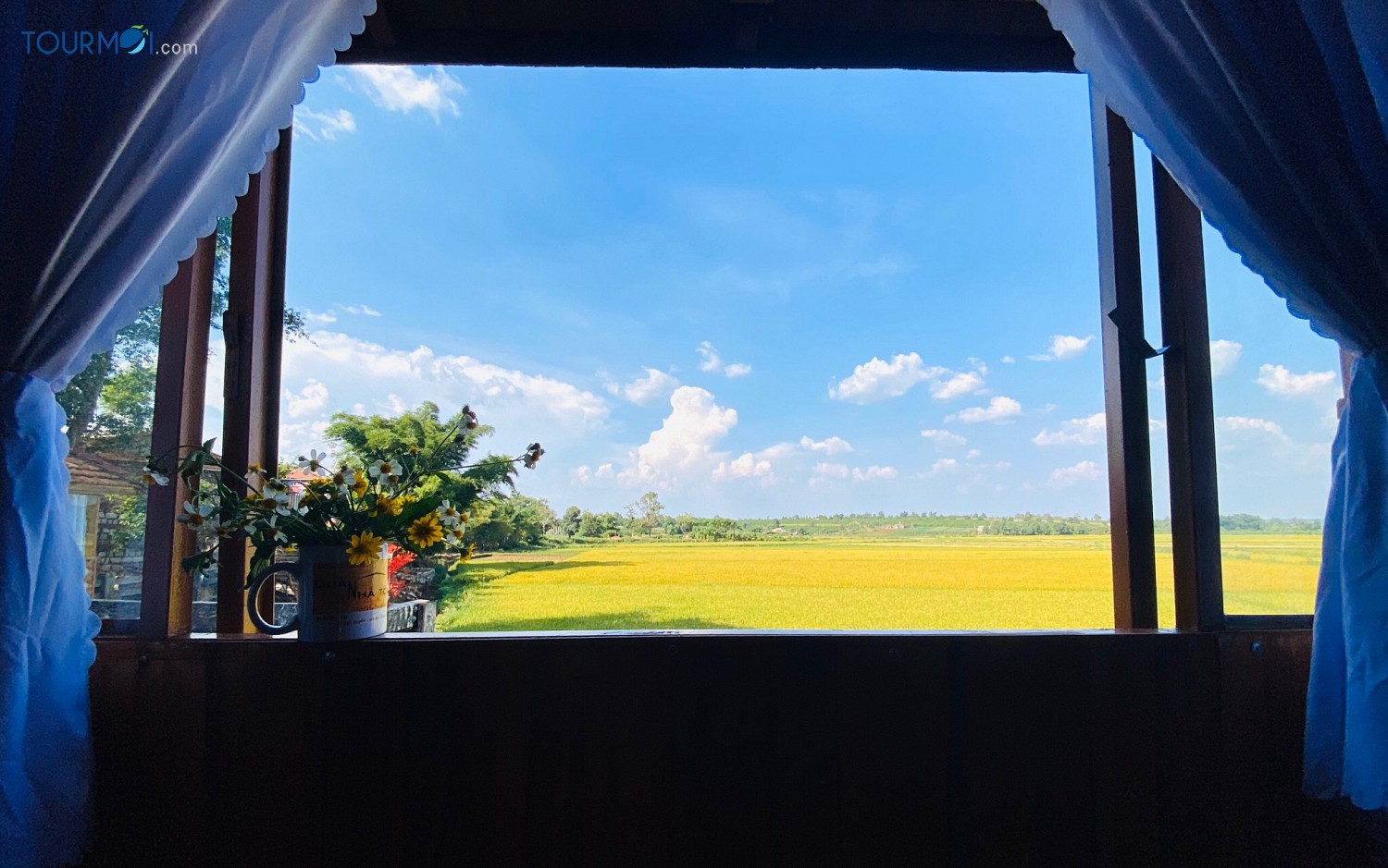 Nhà Tôi – My Home, điểm hẹn trên phố núi đại ngàn - Ảnh 2