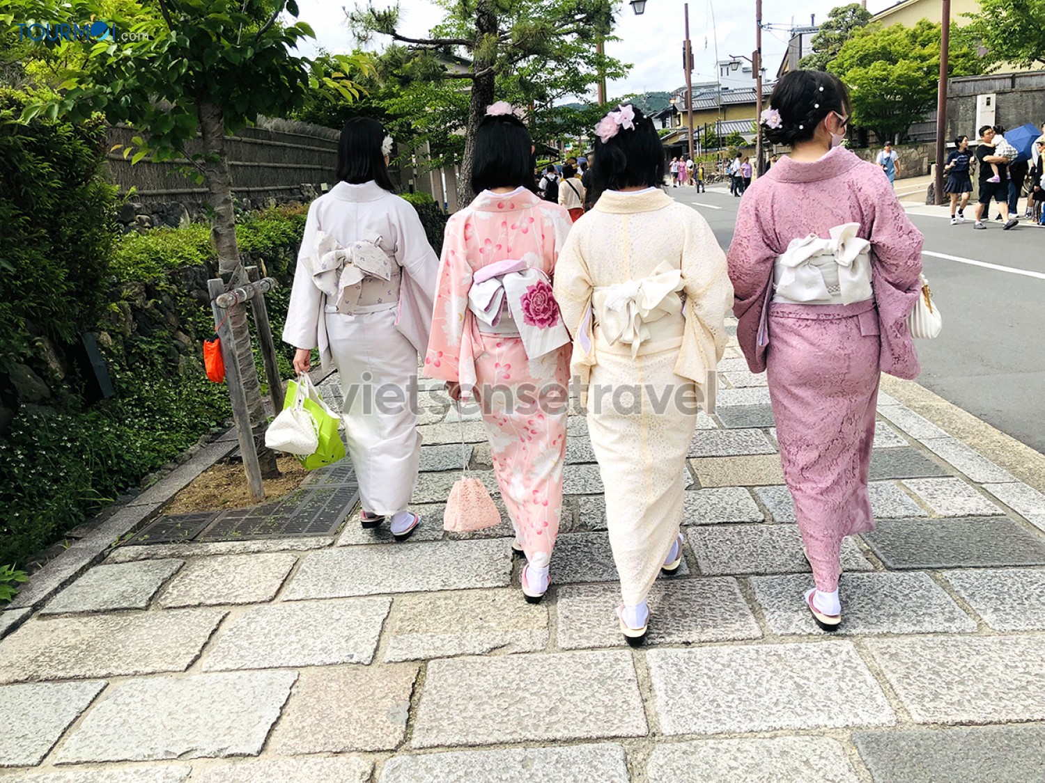 Nhật Bản mùa xuân có gì đẹp? Rực rỡ sắc hoa Anh Đào - Ảnh 2