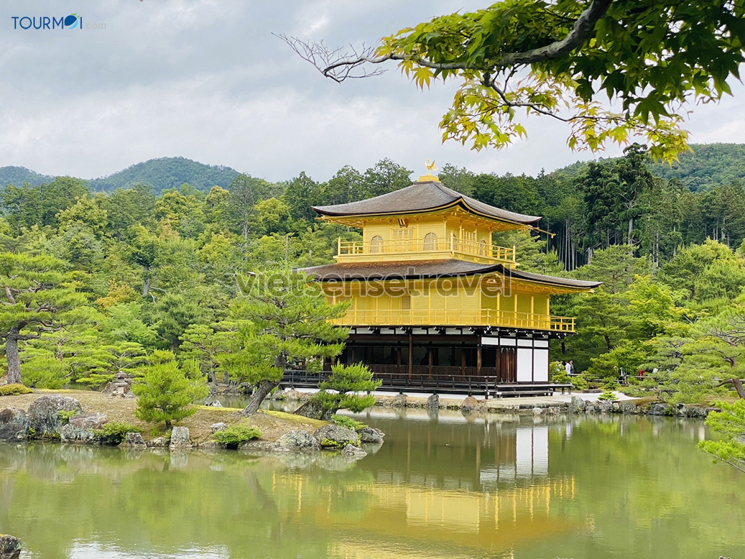 Nhật Bản mùa xuân có gì đẹp? Rực rỡ sắc hoa Anh Đào - Ảnh 1