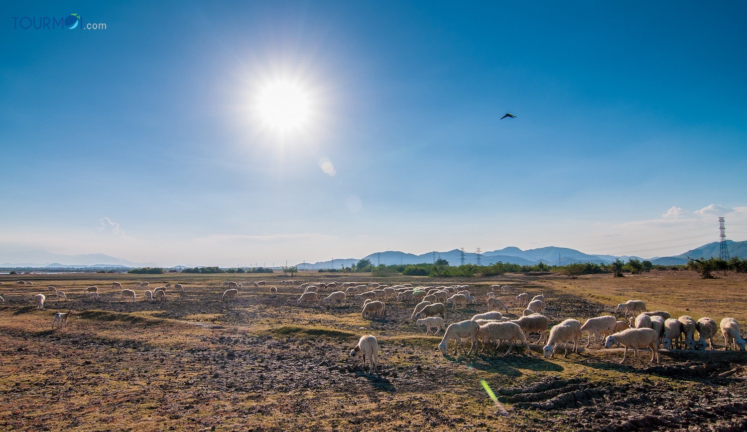 Những điểm tham quan nổi tiếng ở Ninh Thuận - Ảnh 11