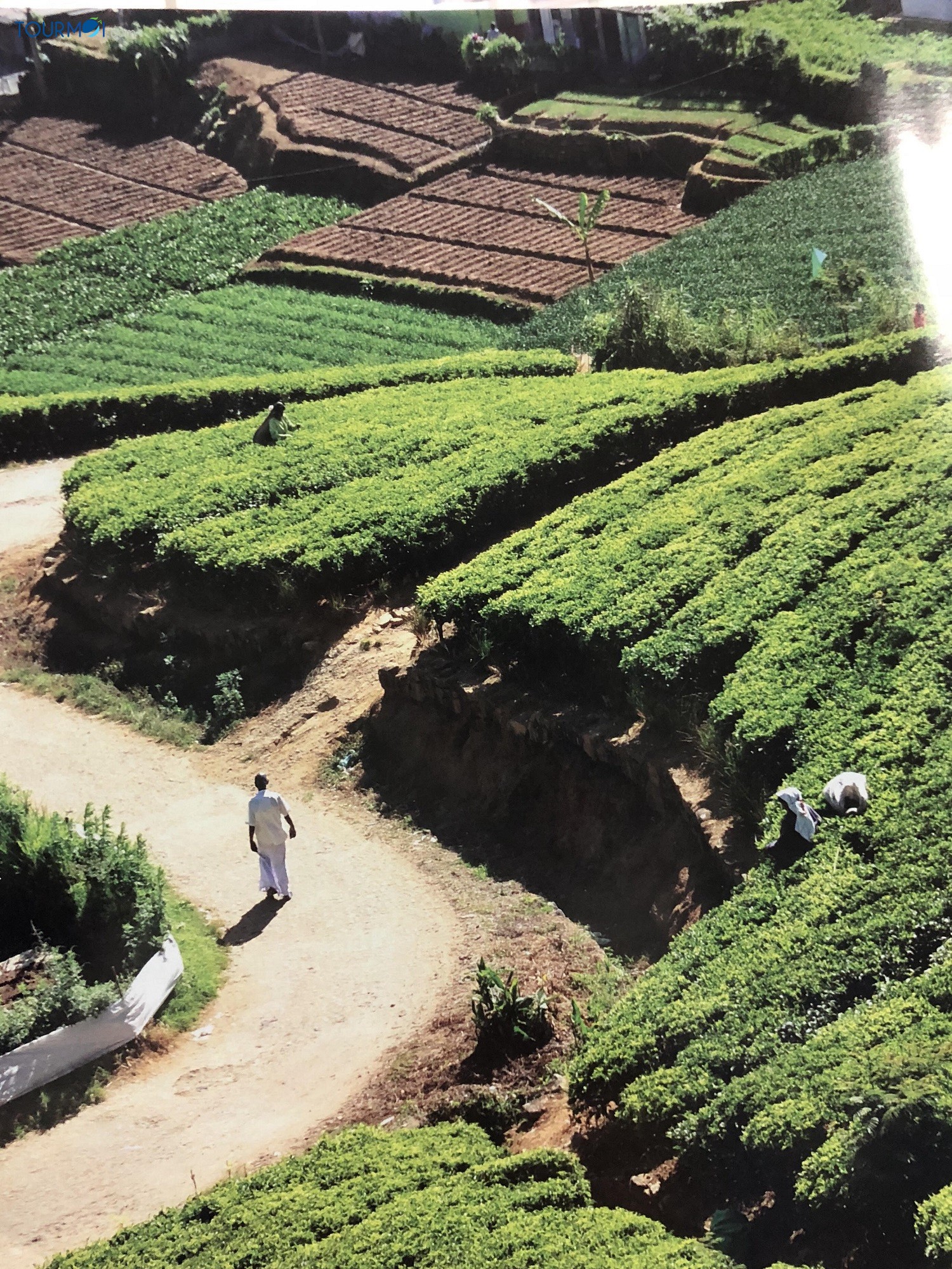 Sống chậm ở đảo quốc Sri Lanka - Ảnh 1