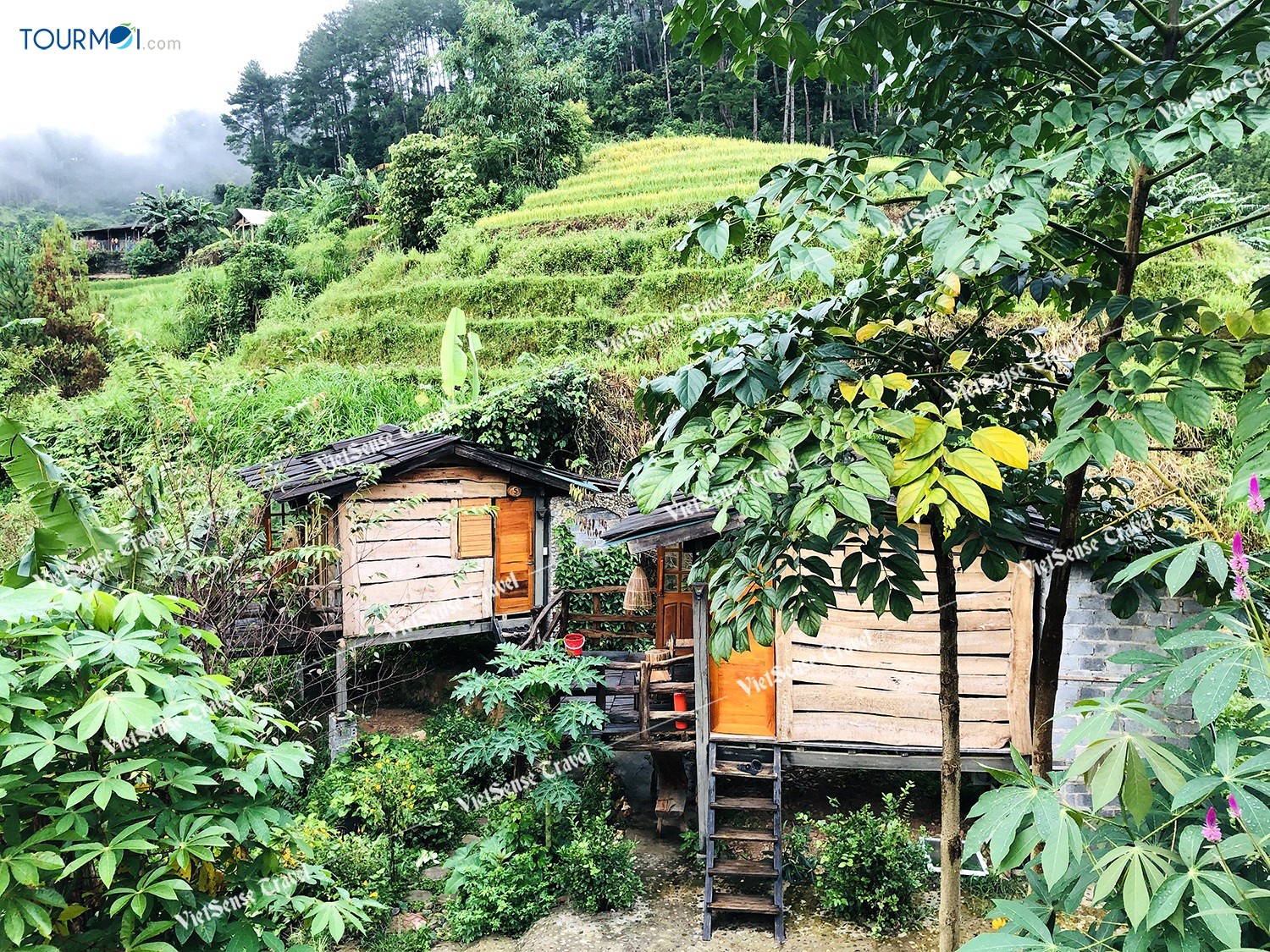 Toàn cảnh khu suối khoáng nóng Trạm Tấu, Yên Bái - Ảnh 8