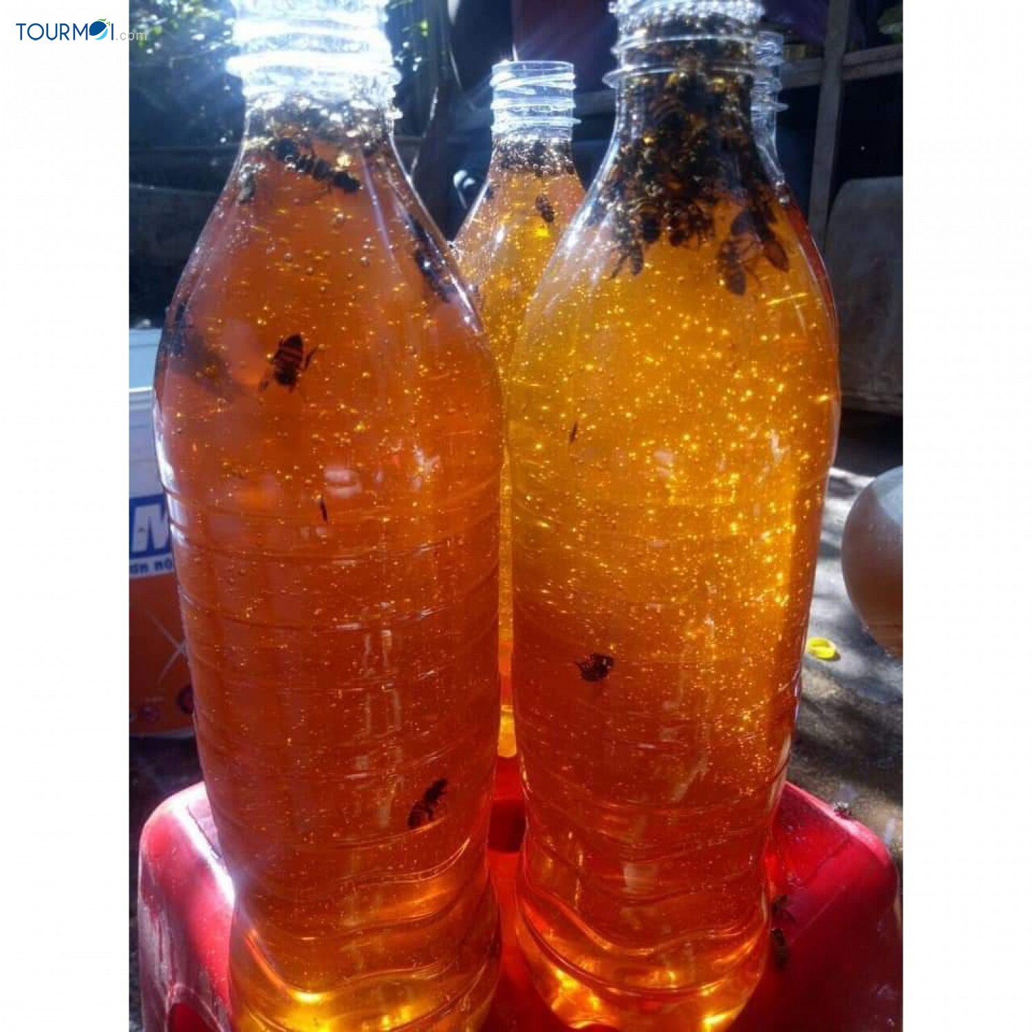 Tất tần tật về du lịch Lai Châu - Ảnh 5