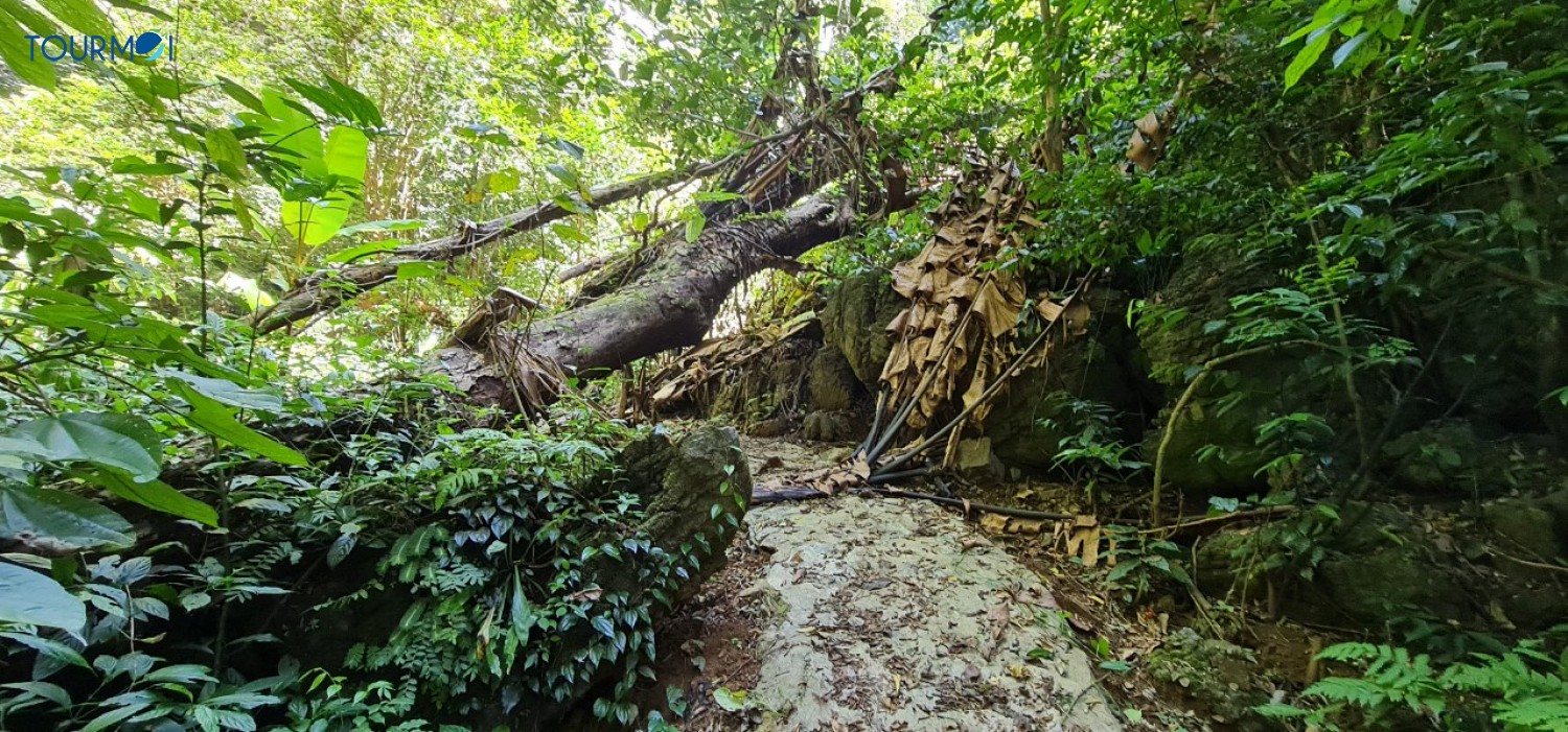 Tất tần tật về Du lịch Lâm Bình Du khách cần biết - Ảnh 4