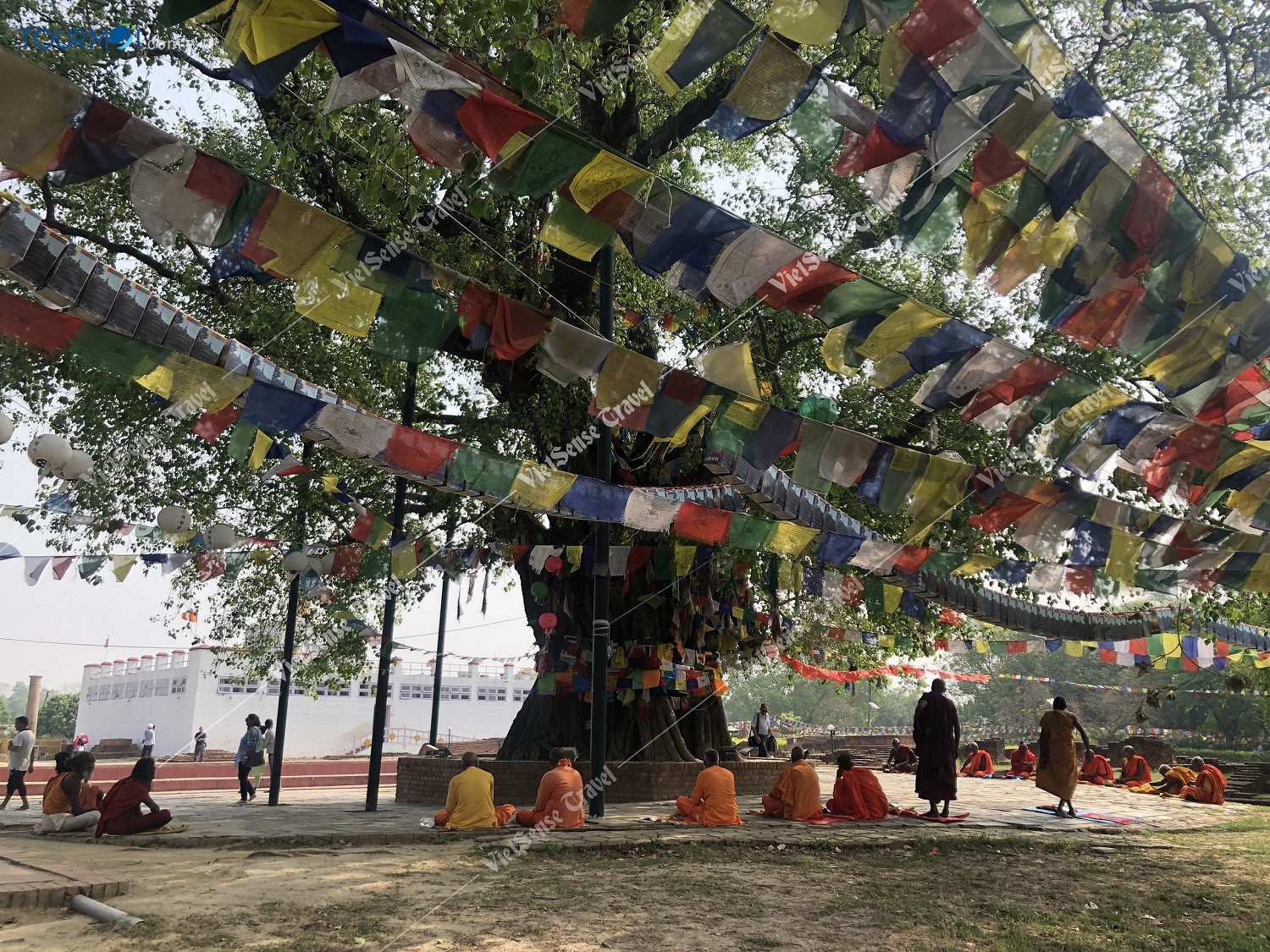 Toàn cảnh du lịch Nepal hành hương đất Phật - Ảnh 4