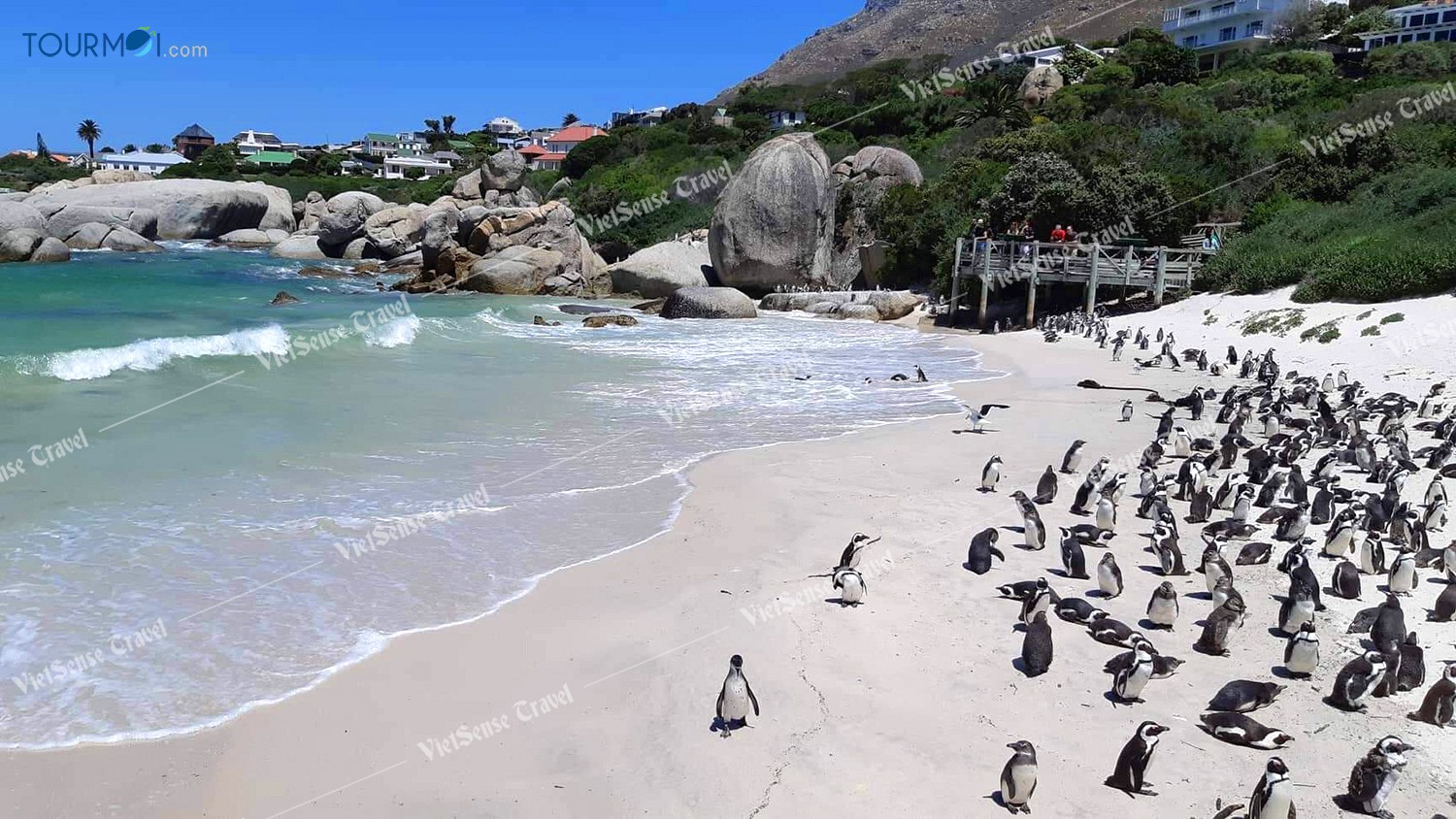 Top 3 thành phố nhất định phải đến khi du lịch Nam Phi - Ảnh 3