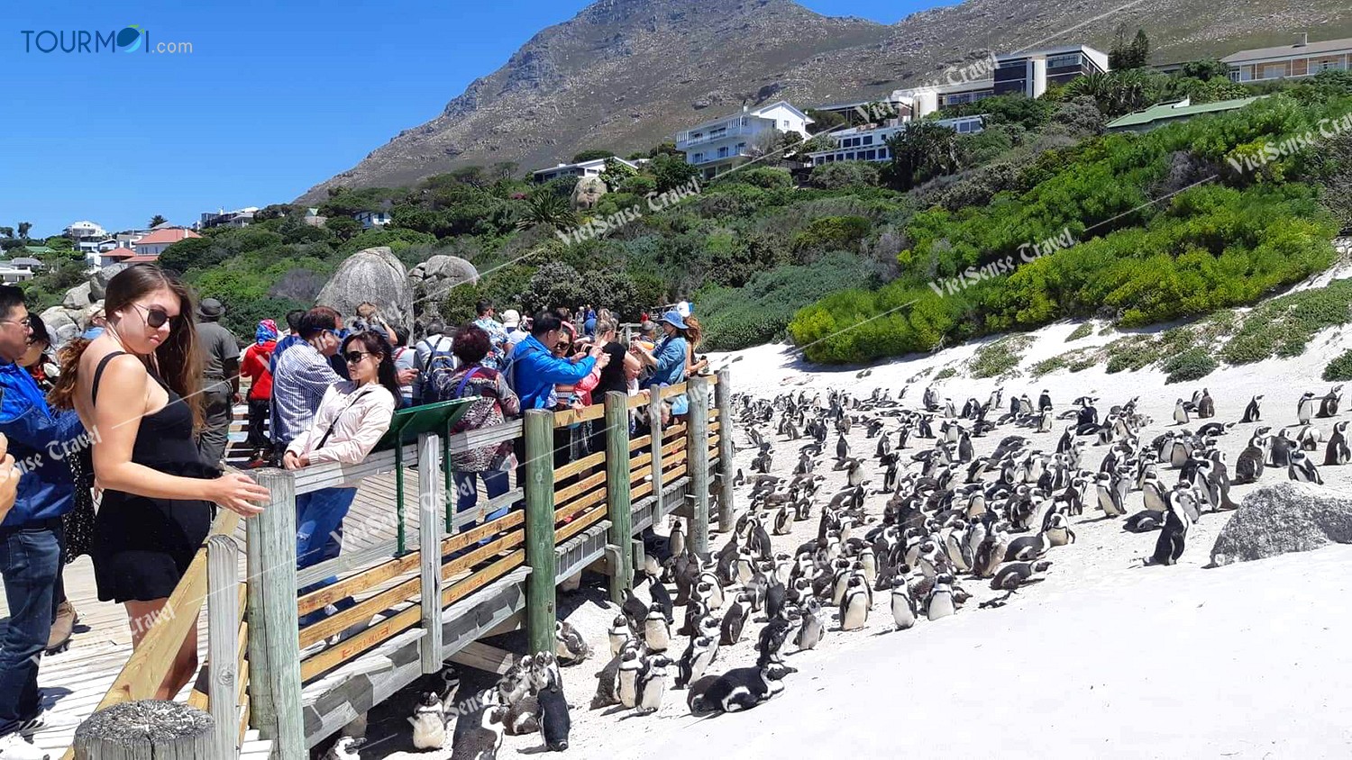 Top 3 thành phố nhất định phải đến khi du lịch Nam Phi - Ảnh 2