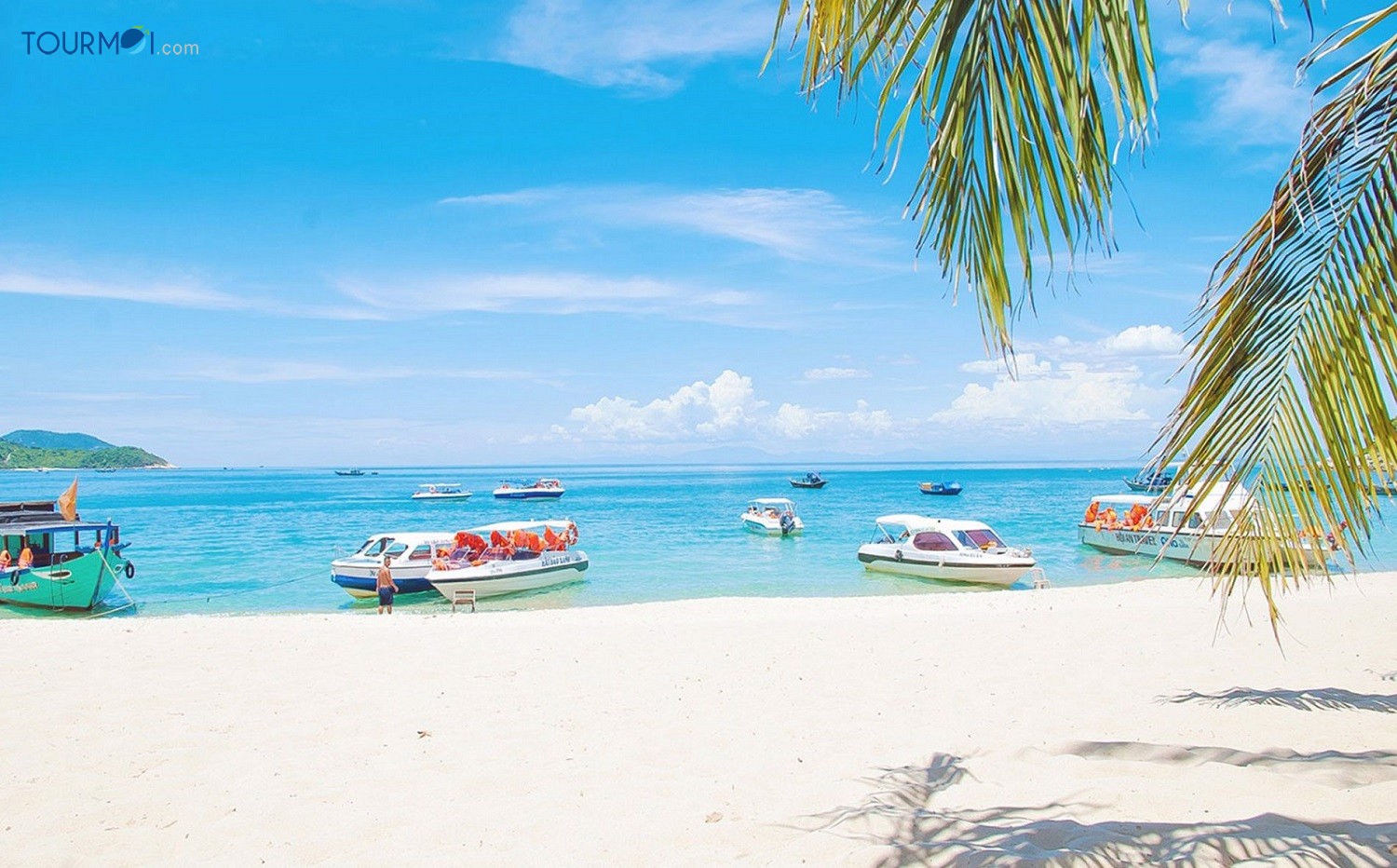 Tour Cù Lao Chàm 1 Ngày - Ảnh 1