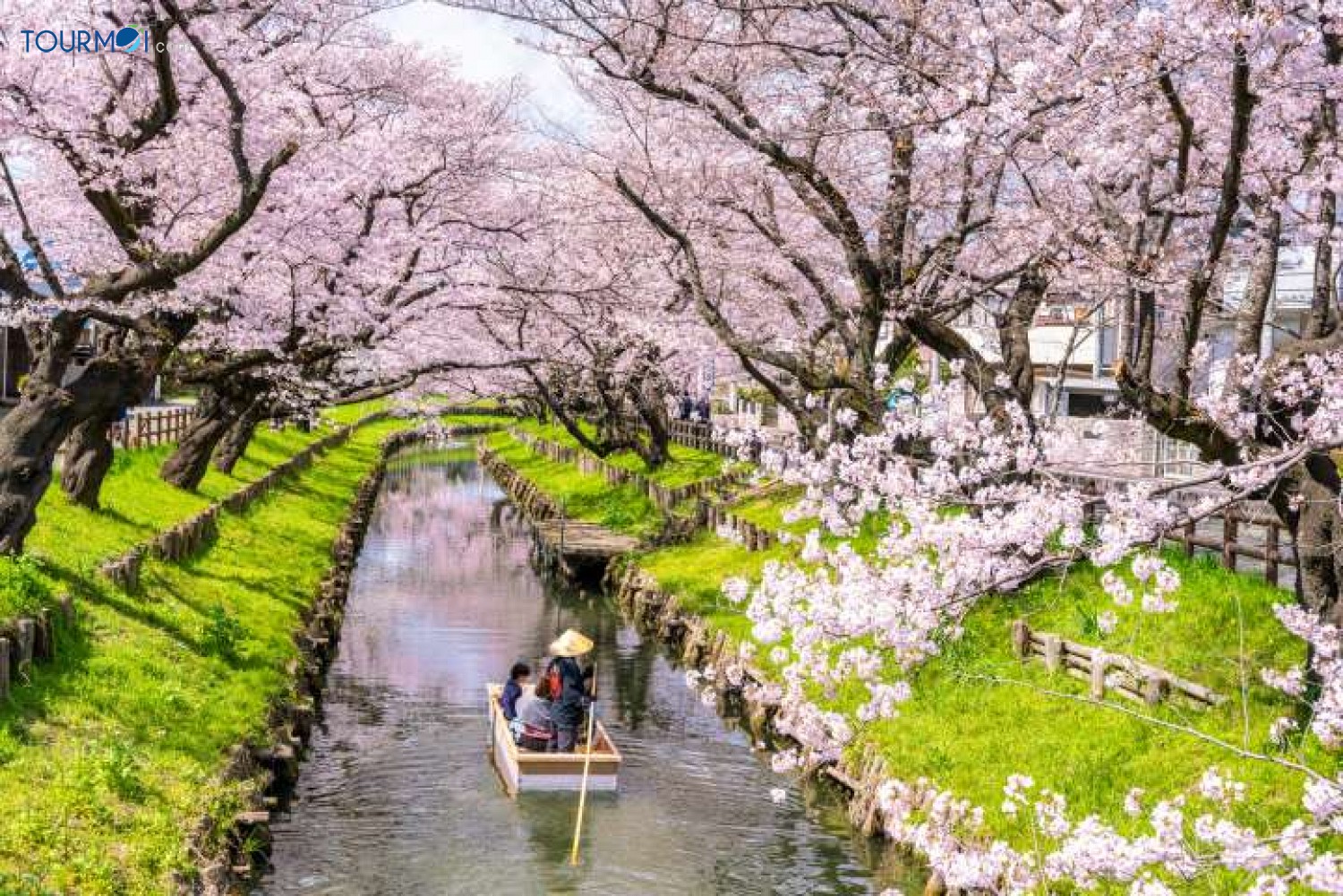 Trải nghiệm Lễ hội Hoa Anh Đào Nhật Bản như người bản xứ - Ảnh 1