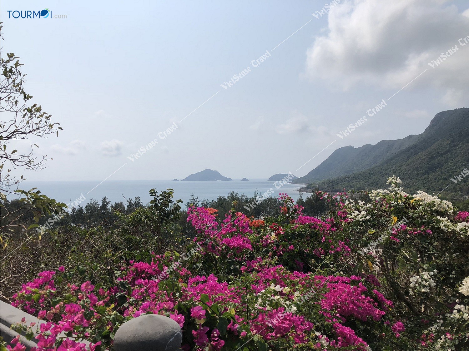 Vân Sơn Tự, ngôi Chùa Núi Một Côn Đảo đẹp nhất Việt Nam - Ảnh 4