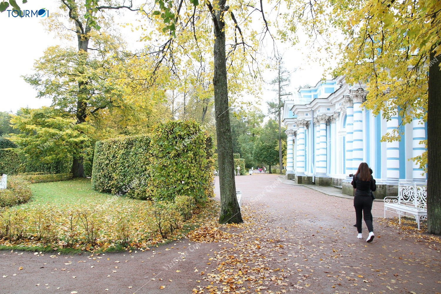 Vẻ đẹp quyến rũ mùa thu vàng nước Nga - Ảnh 6