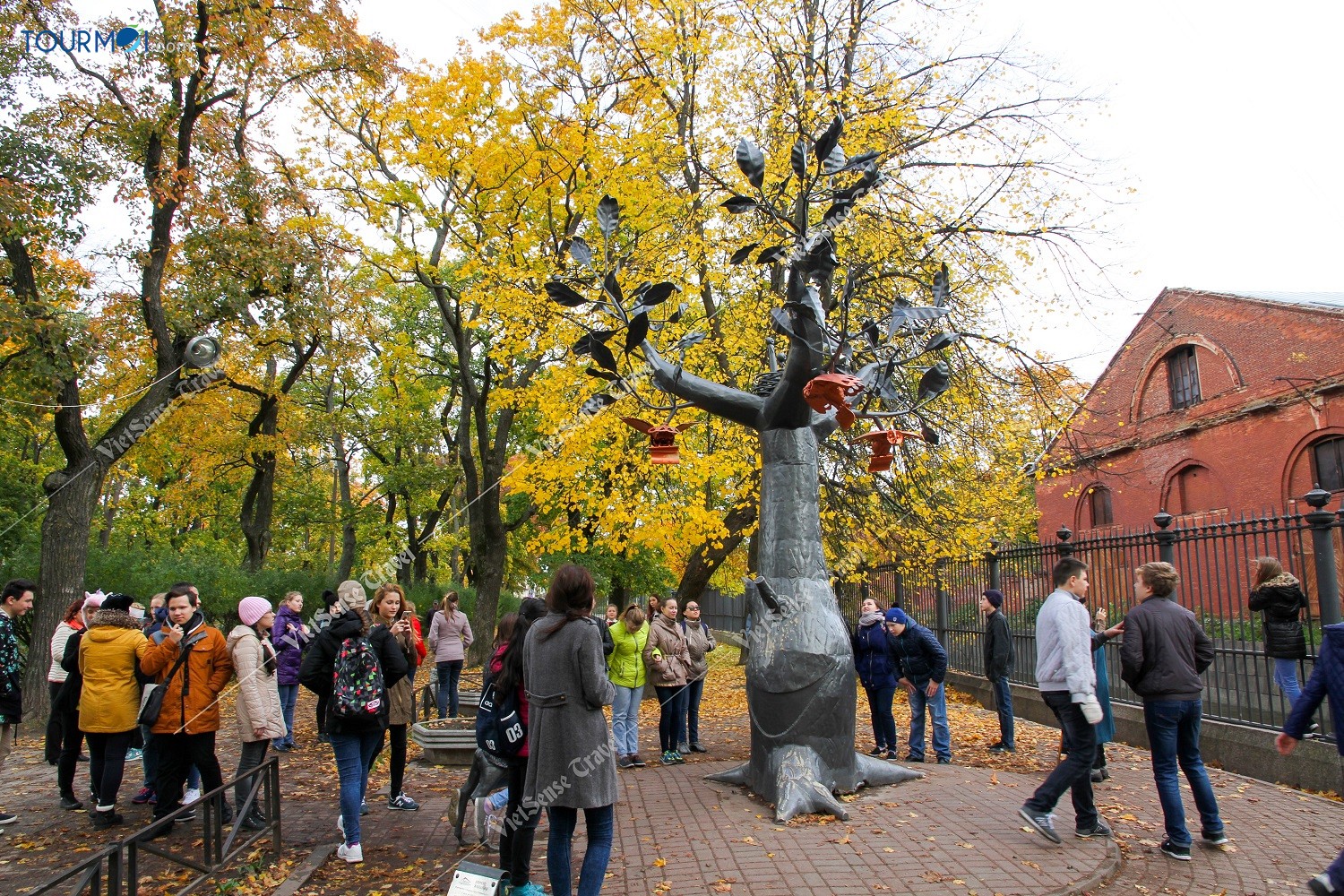 Vẻ đẹp quyến rũ mùa thu vàng nước Nga - Ảnh 3