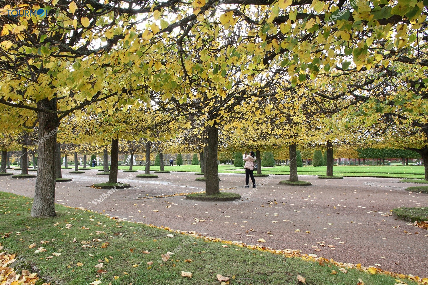 Vẻ đẹp quyến rũ mùa thu vàng nước Nga - Ảnh 2